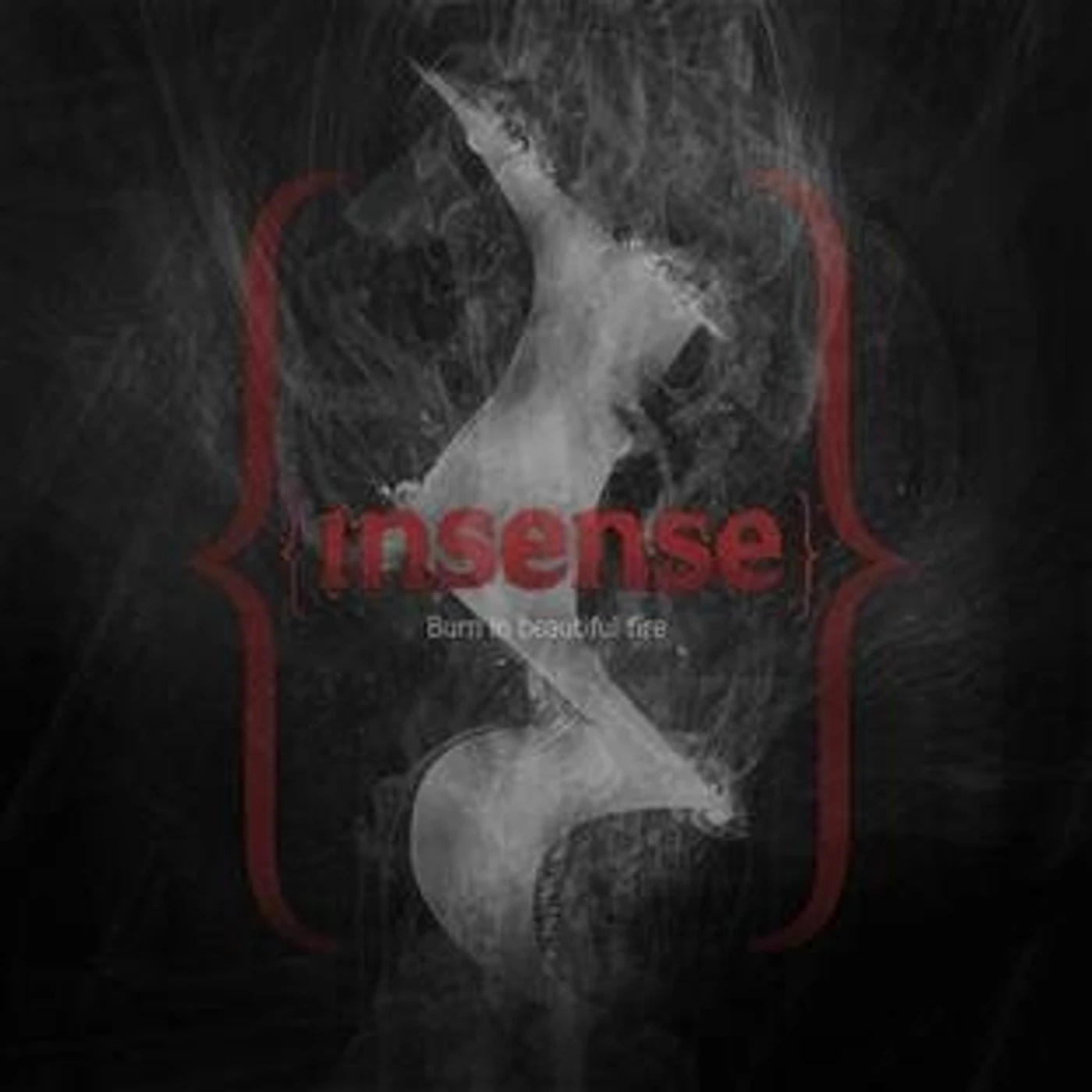 Insense BURN IN A BEAUTIFUL FIRE Vinyl Record