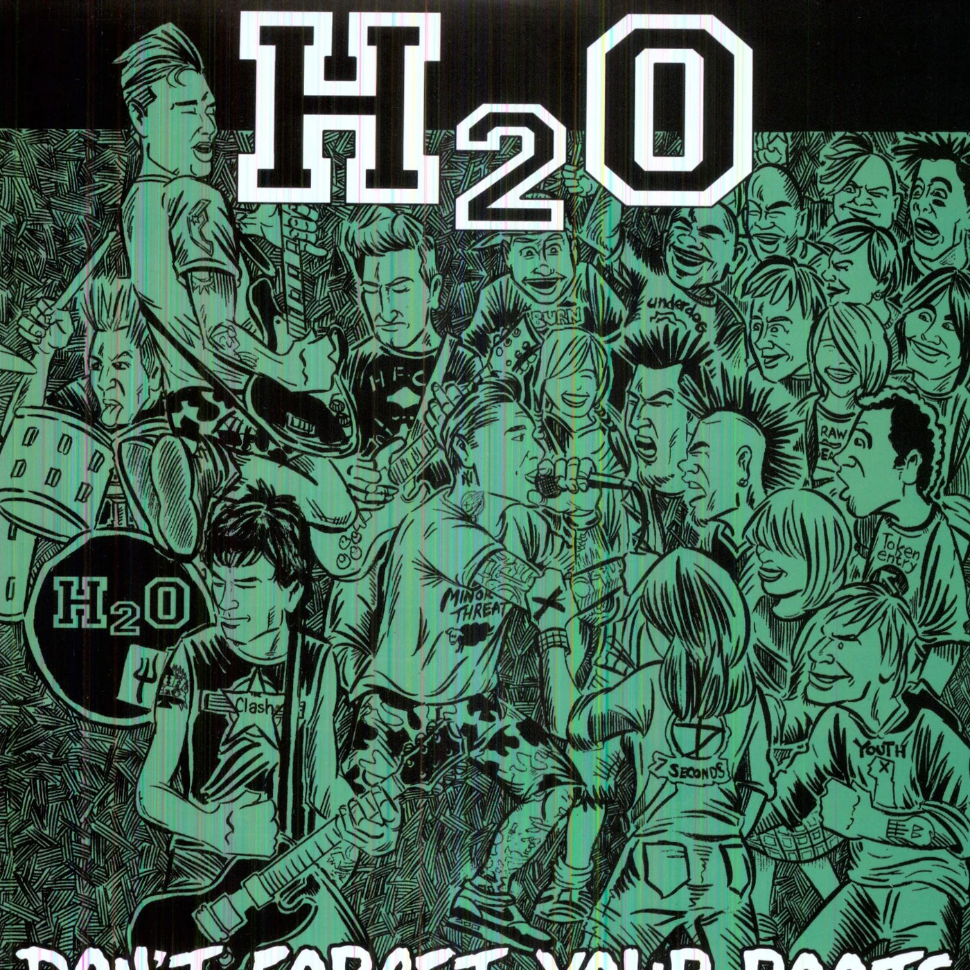 H2O Don't Forget Your Roots Vinyl Record