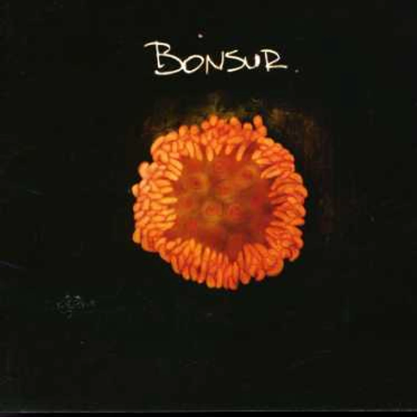 BONSUR CD