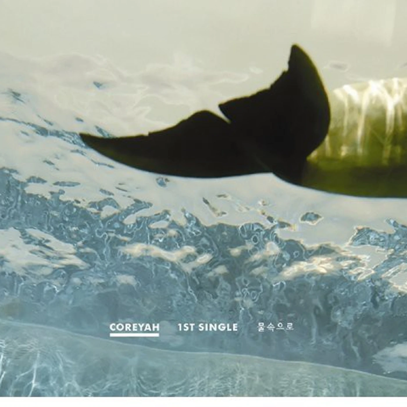Coreyah INTO THE WATER CD