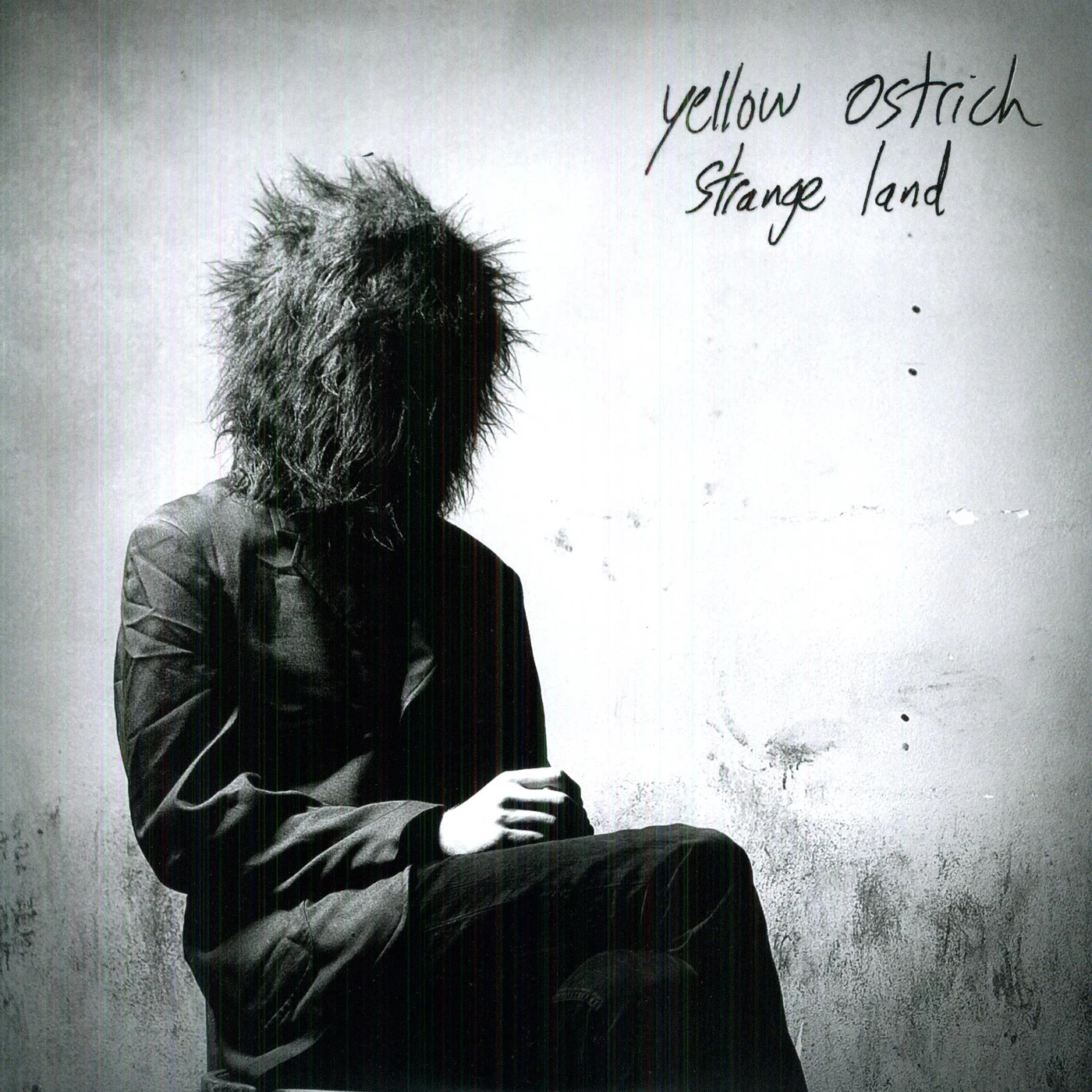 Yellow Ostrich Strange Land Vinyl Record