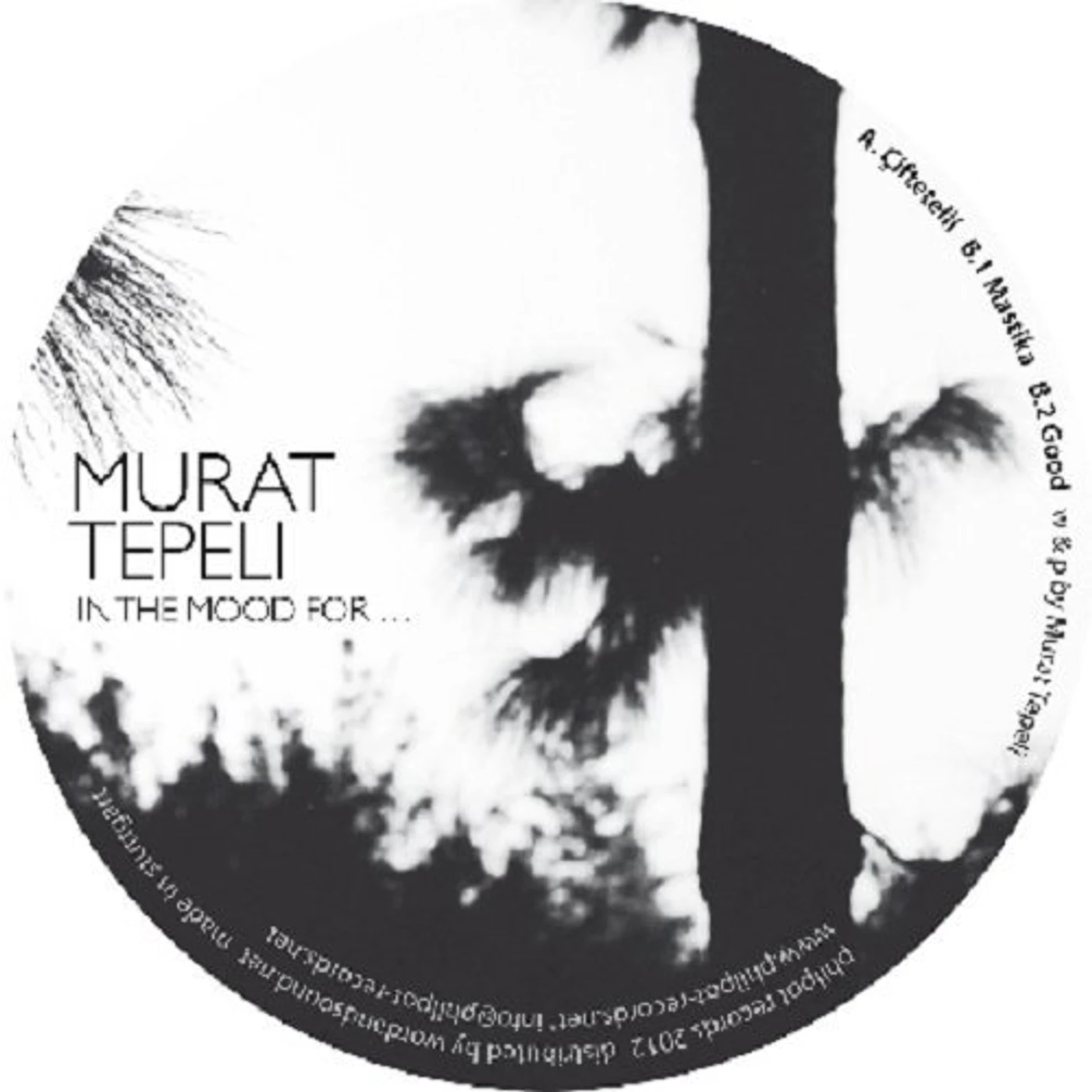 Murat Tepeli IN THE MOOD FOR Vinyl Record