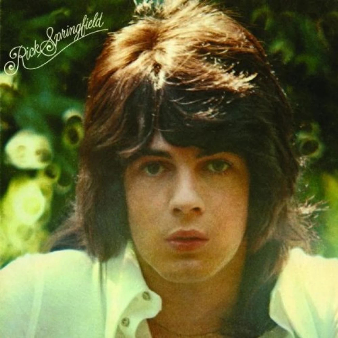 Rick Springfield BEGINNINGS CD