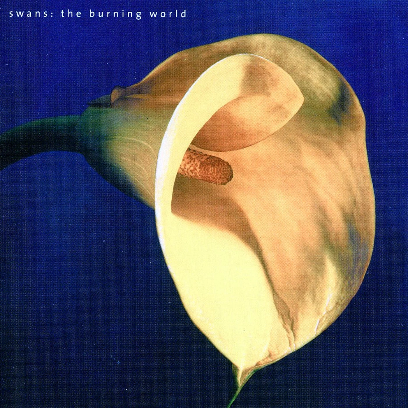 Swans BURNING WORLD CD