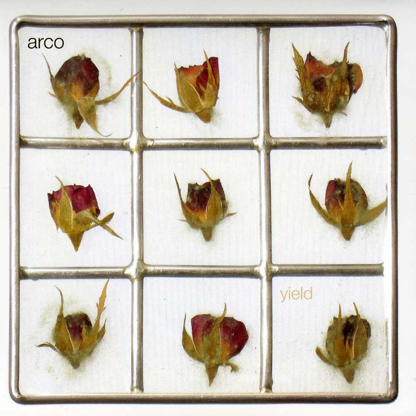 Arco YIELD CD