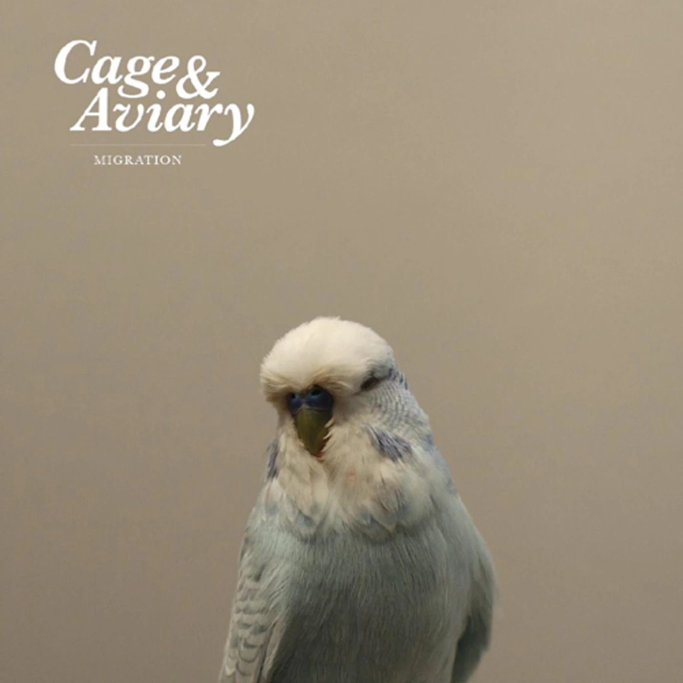 Cage & Aviary Migration Vinyl Record