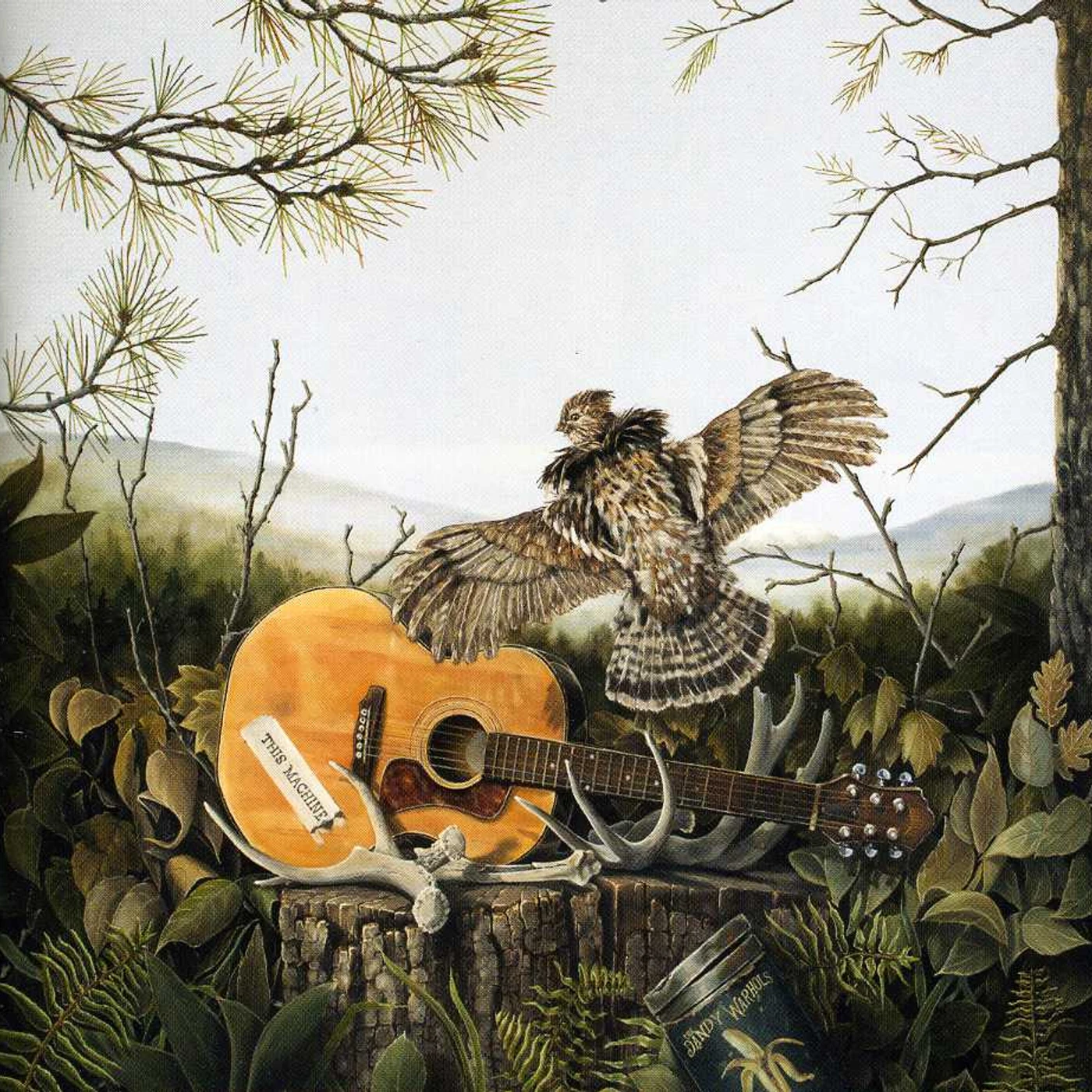 The Dandy Warhols THIS MACHINE CD