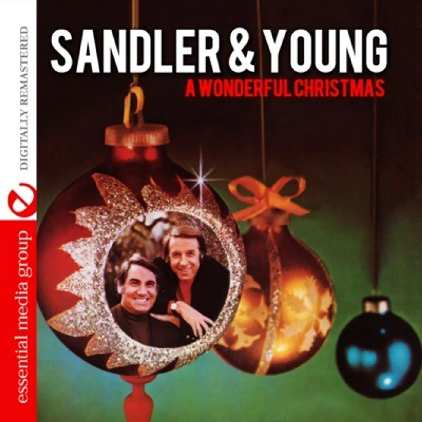 Sandler & Young WONDERFUL CHRISTMAS CD