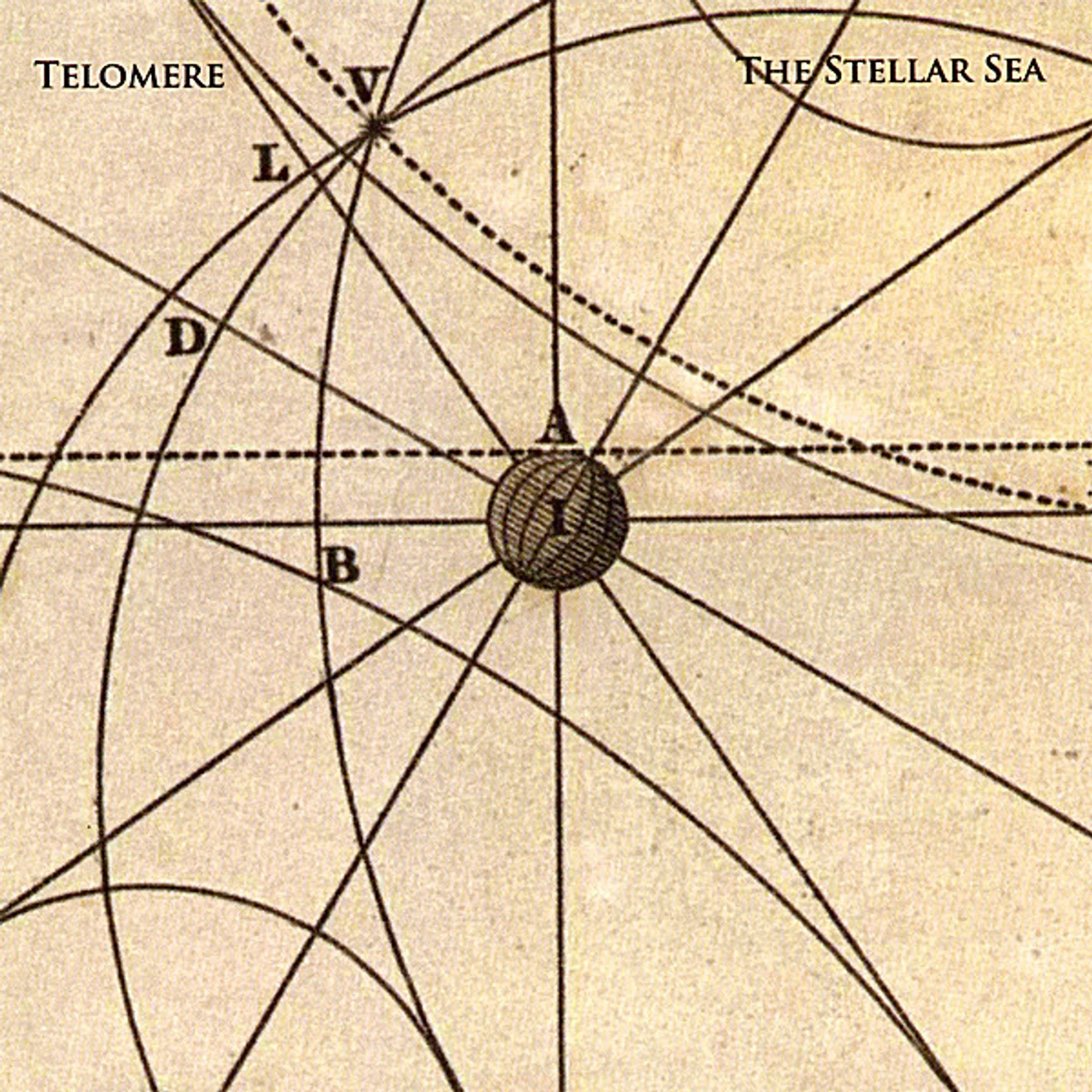 Telomere THE STELLAR SEA CD