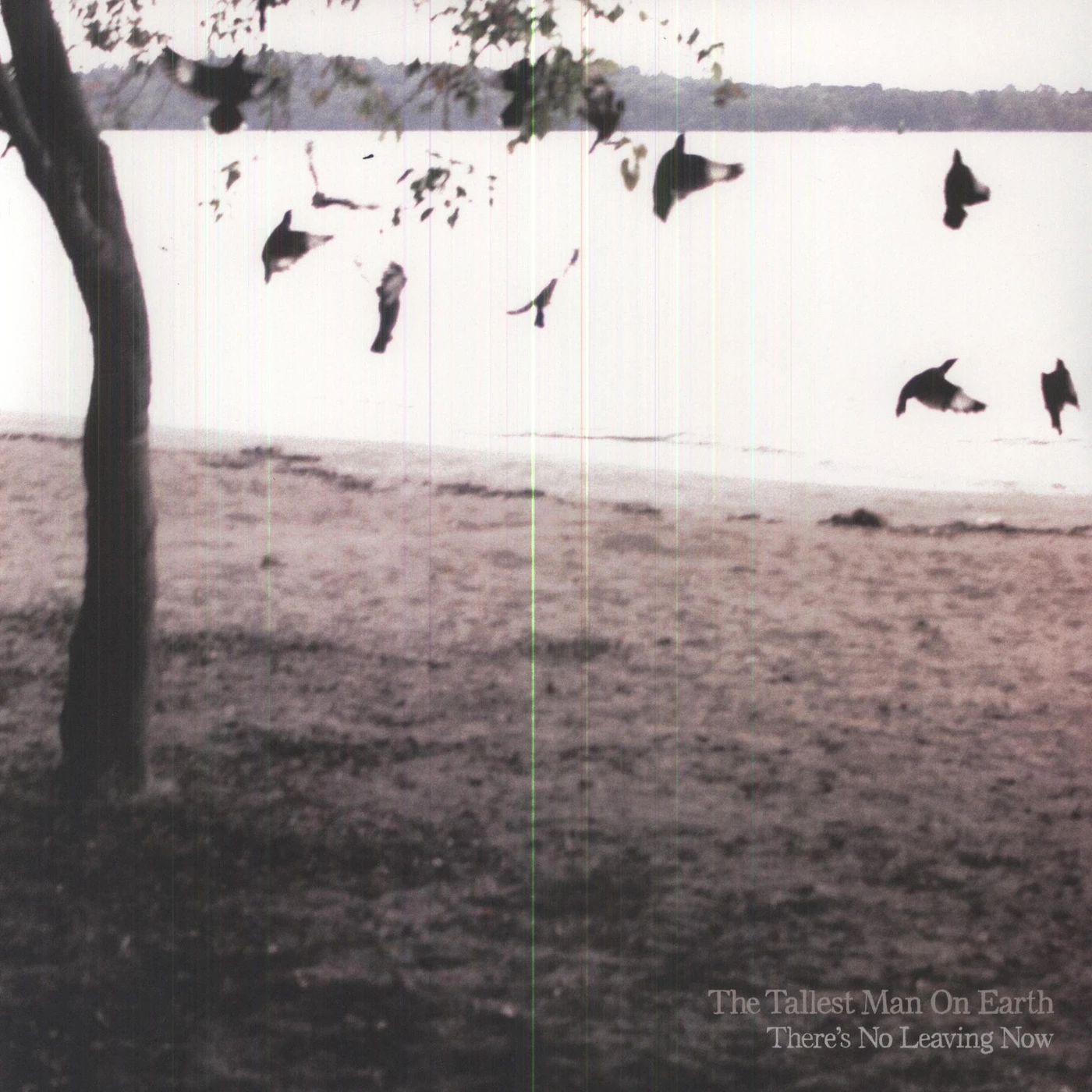 The Tallest Man On Earth There's No Leaving Now Vinyl Record