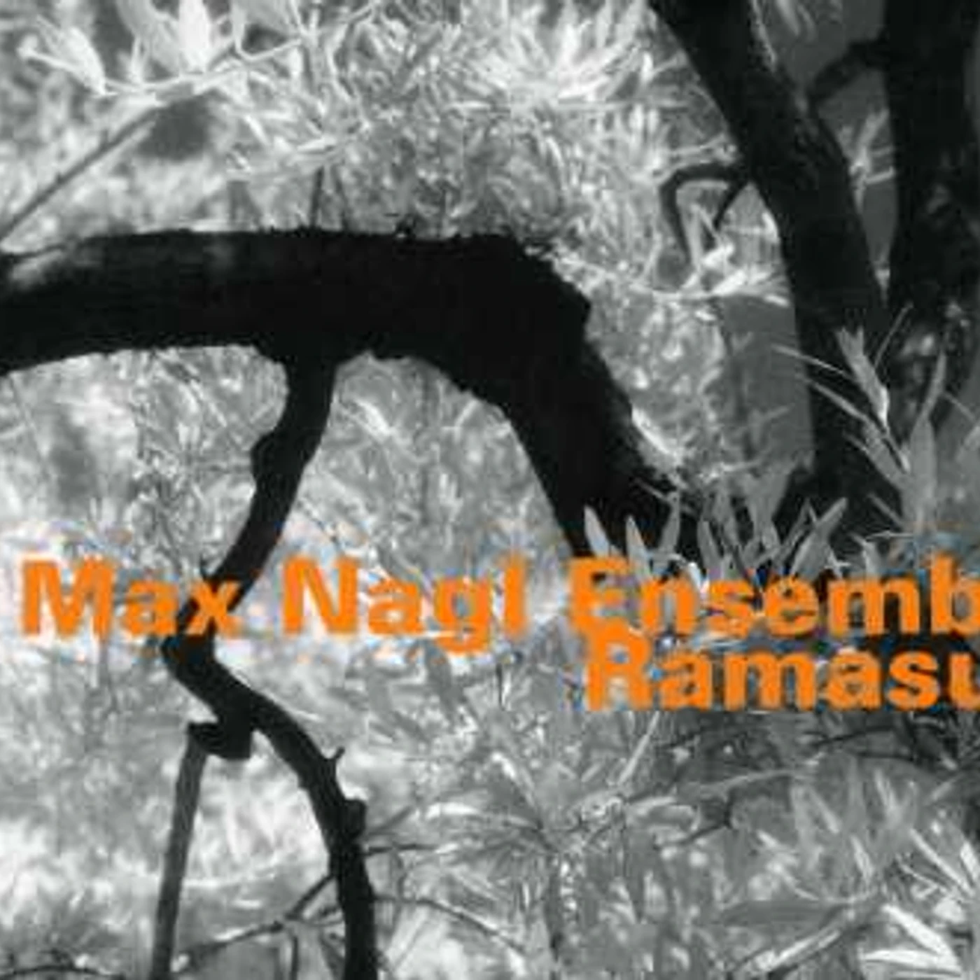 Max Nagl ENSEMBLE RAMASURI CD