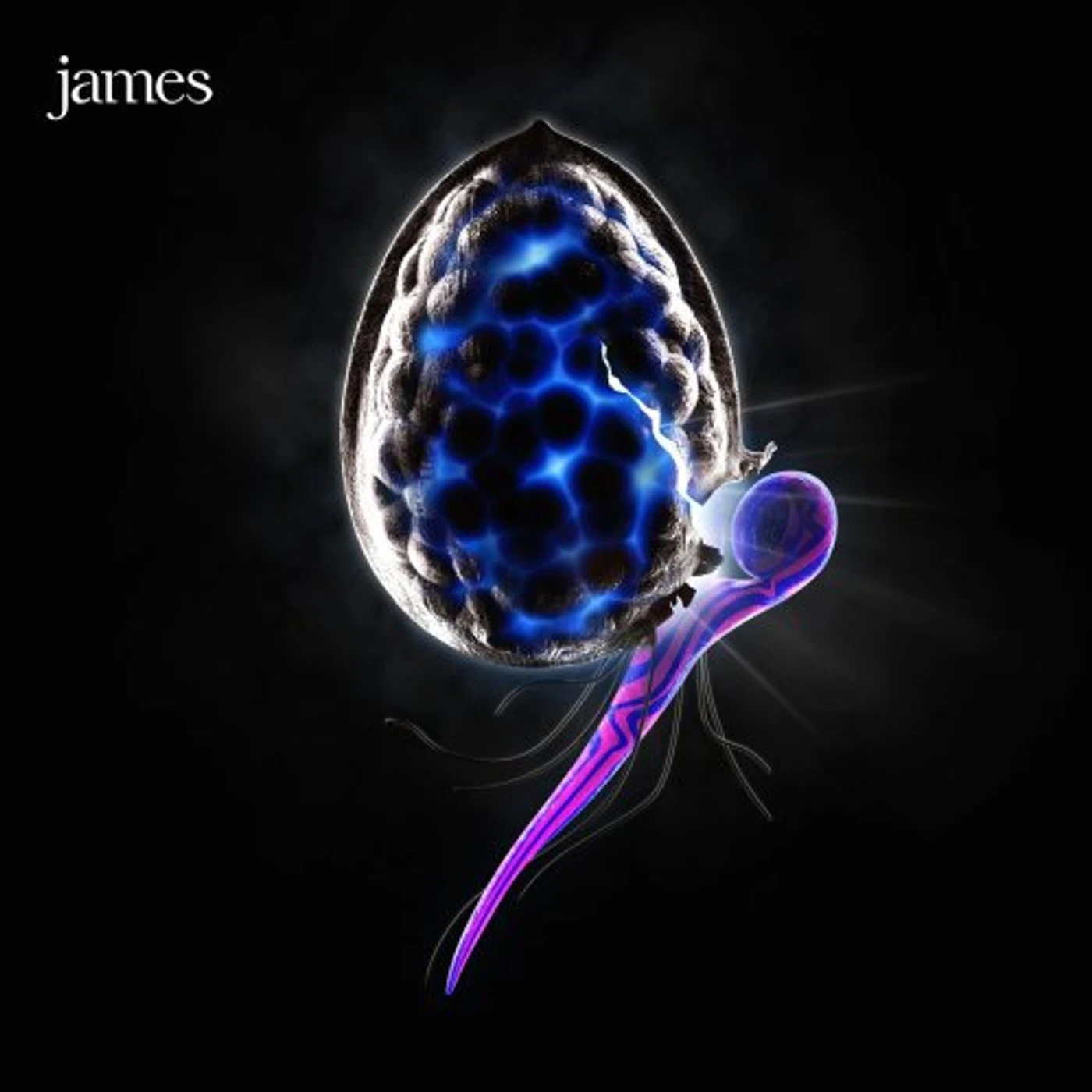 James NIGHT BEFORE CD
