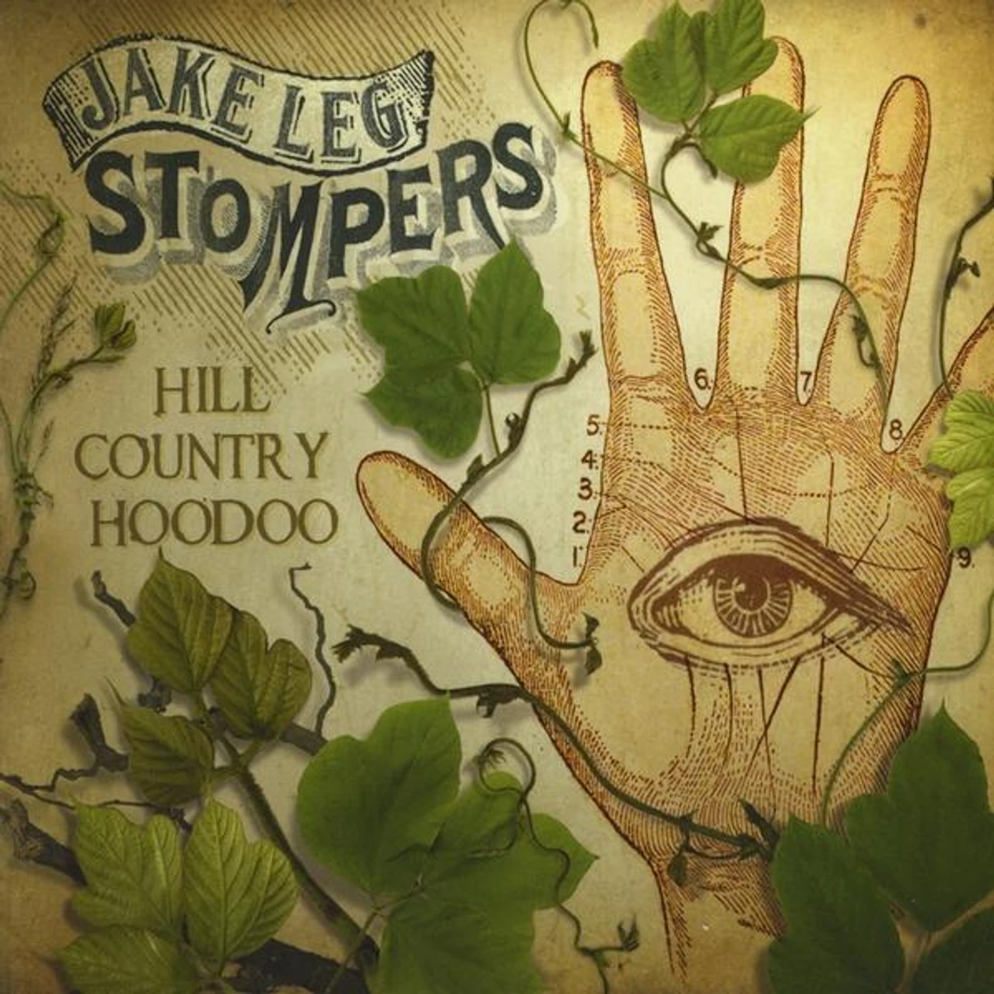 Jake Leg Stompers HILL COUNTRY HOODOO CD