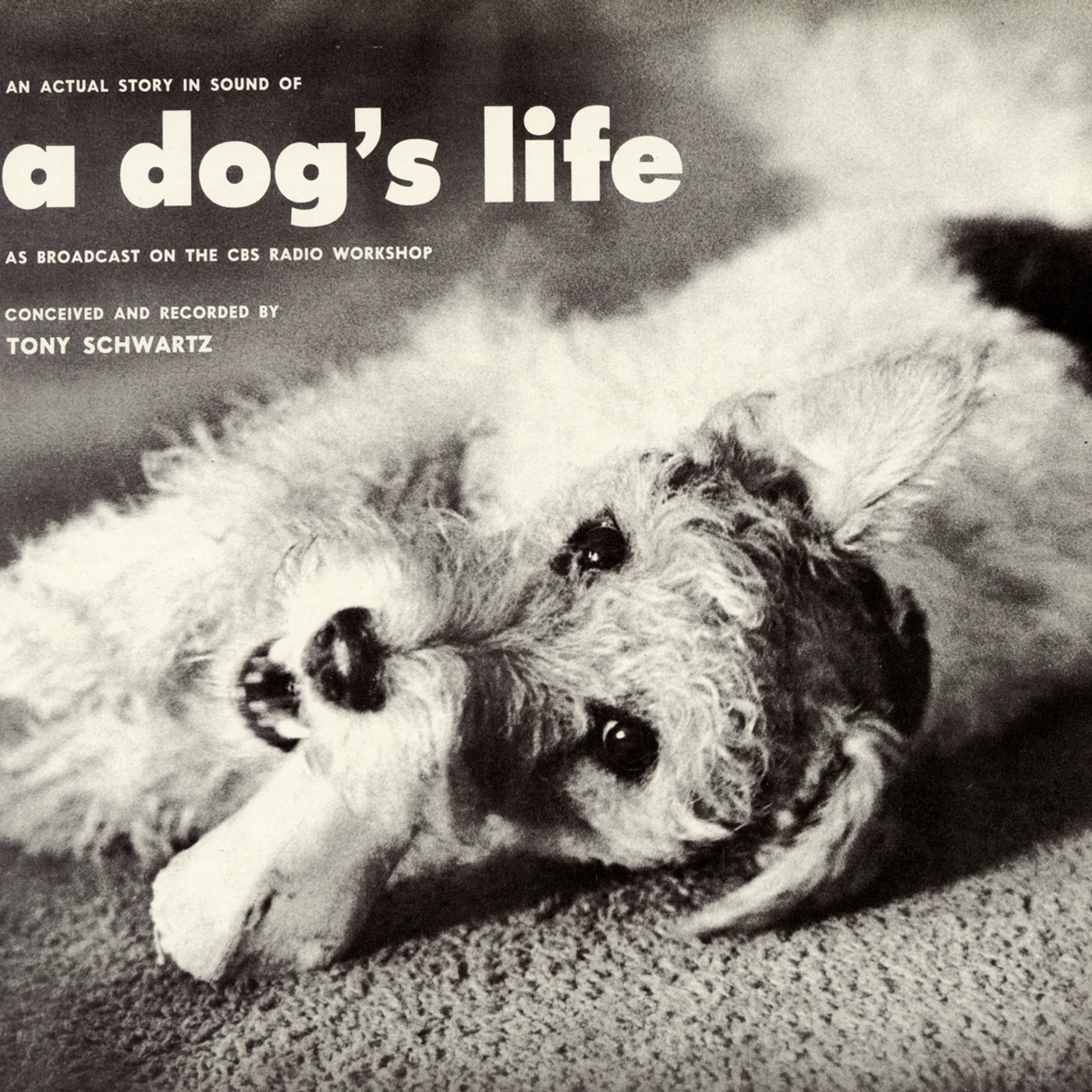 Tony Schwartz AN ACTUAL STORY IN SOUND OF A DOG'S LIFE CD