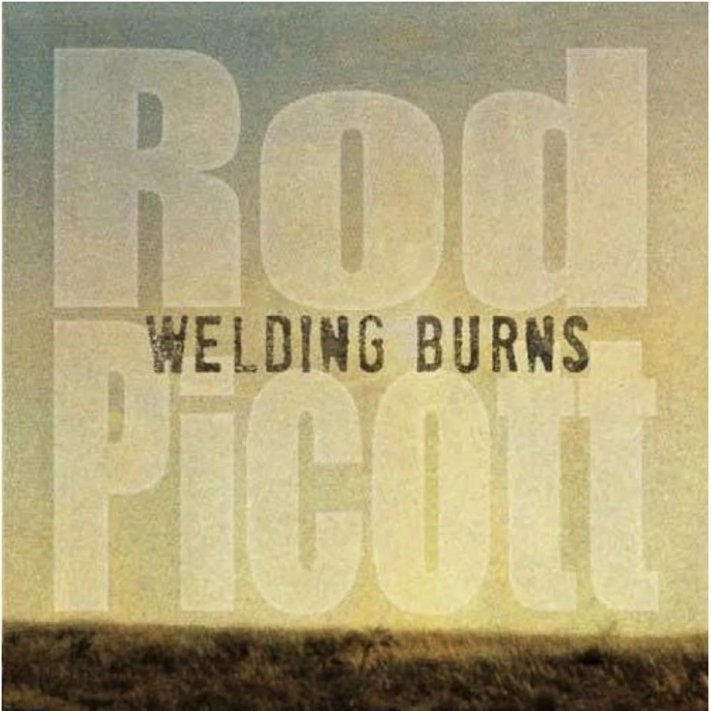 Rod Picott WELDING BURNS CD