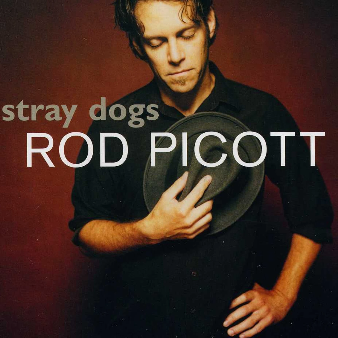 Rod Picott STRAY DOGS CD