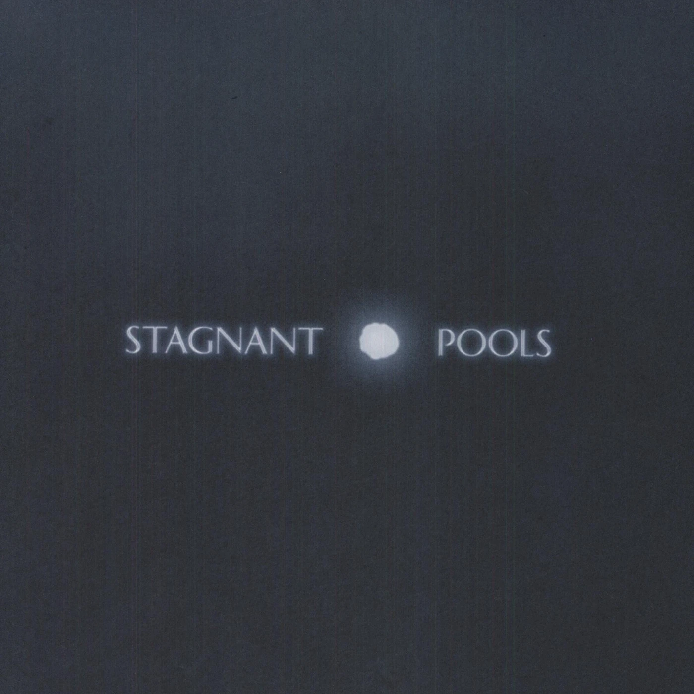 Stagnant Pools Temporary Room Vinyl Record