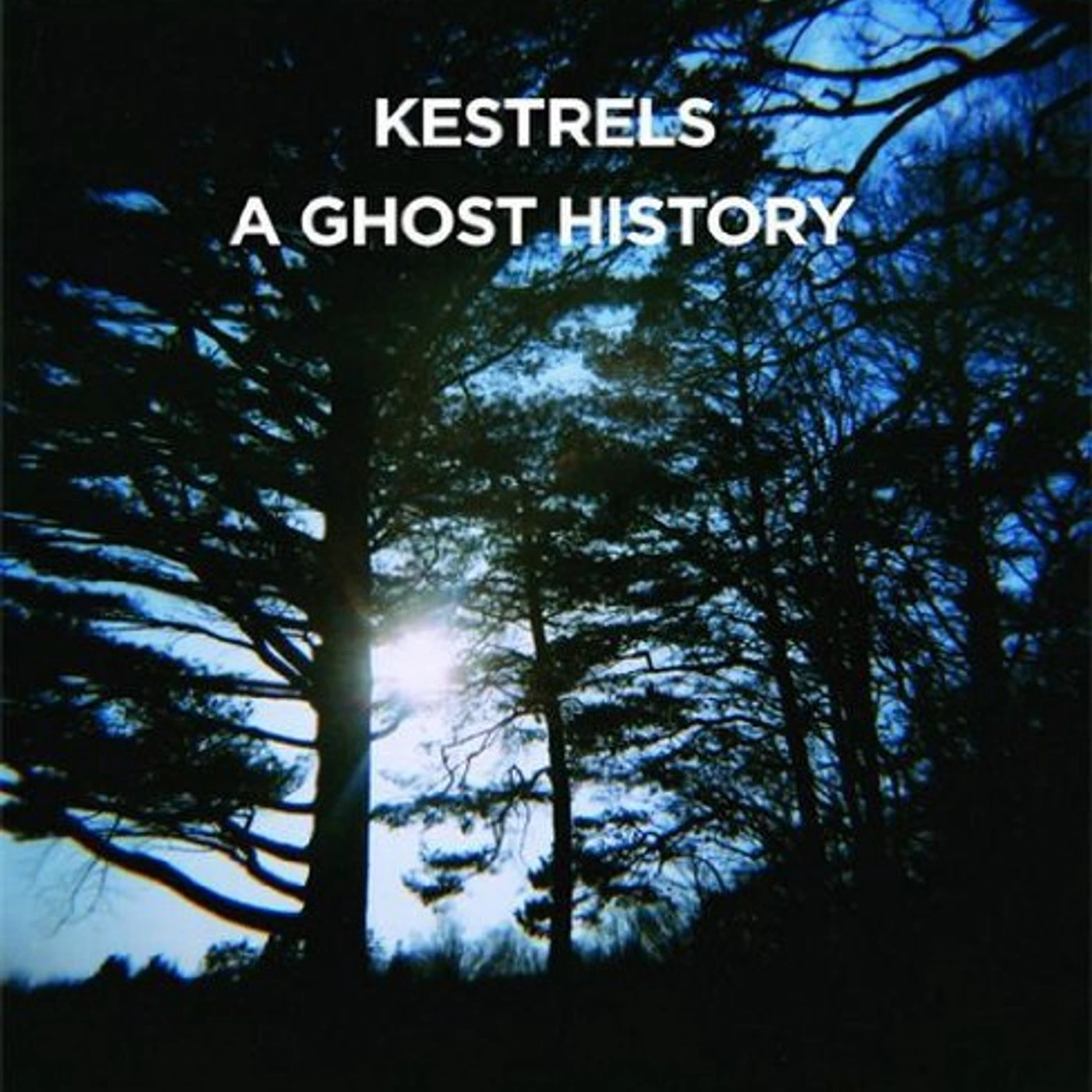 Kestrels A ghost history Vinyl Record