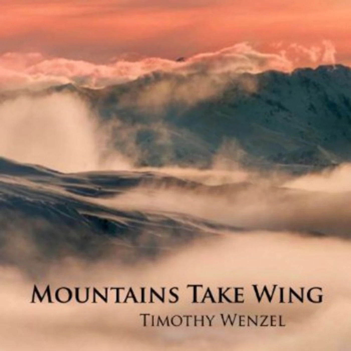 Timothy Wenzel MOUNTAINS TAKE WING CD