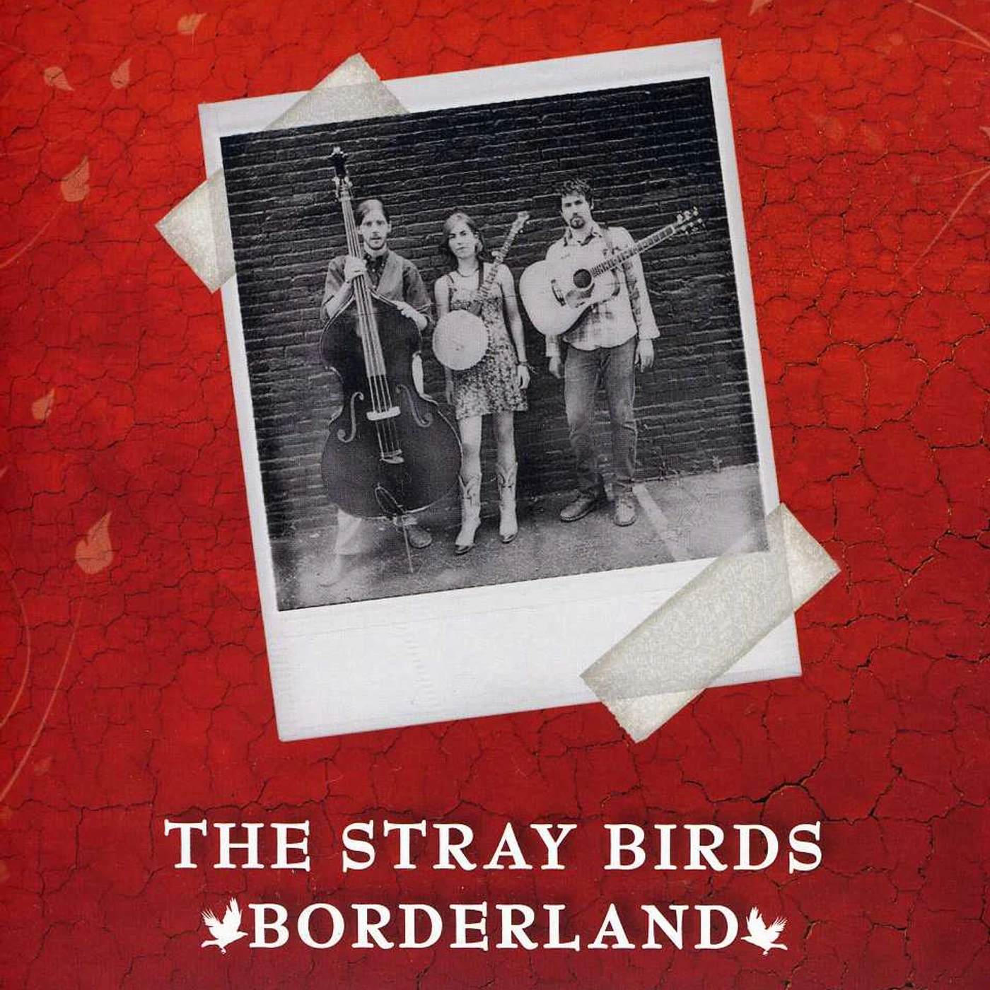 Stray Birds BORDERLAND CD