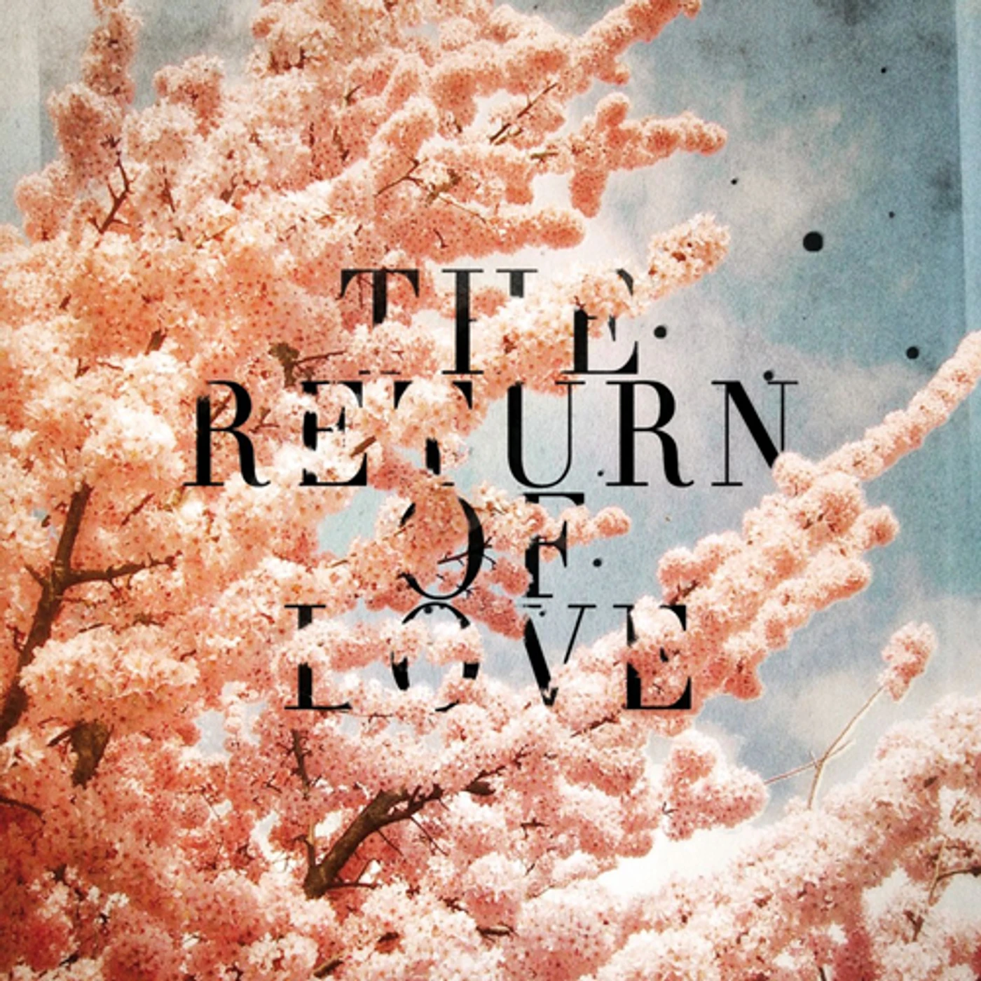 Woolfy vs Projections RETURN OF LOVE CD
