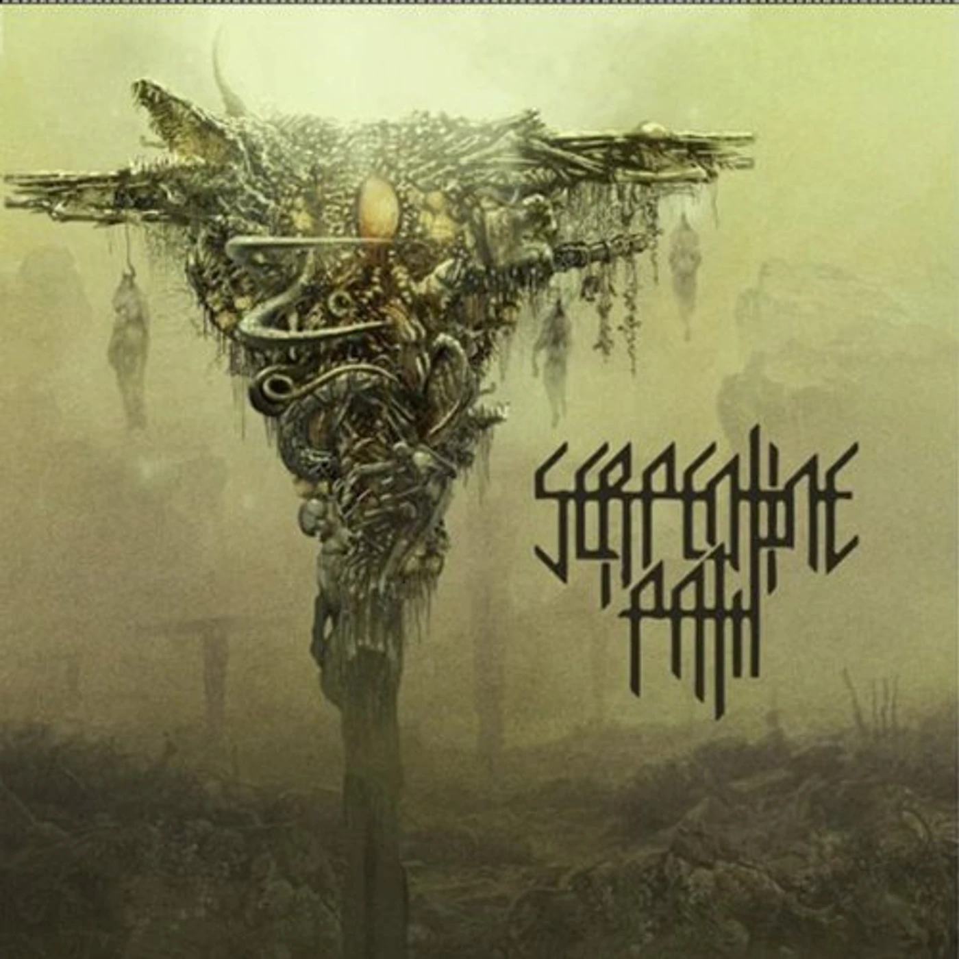 Serpentine Path Vinyl Record