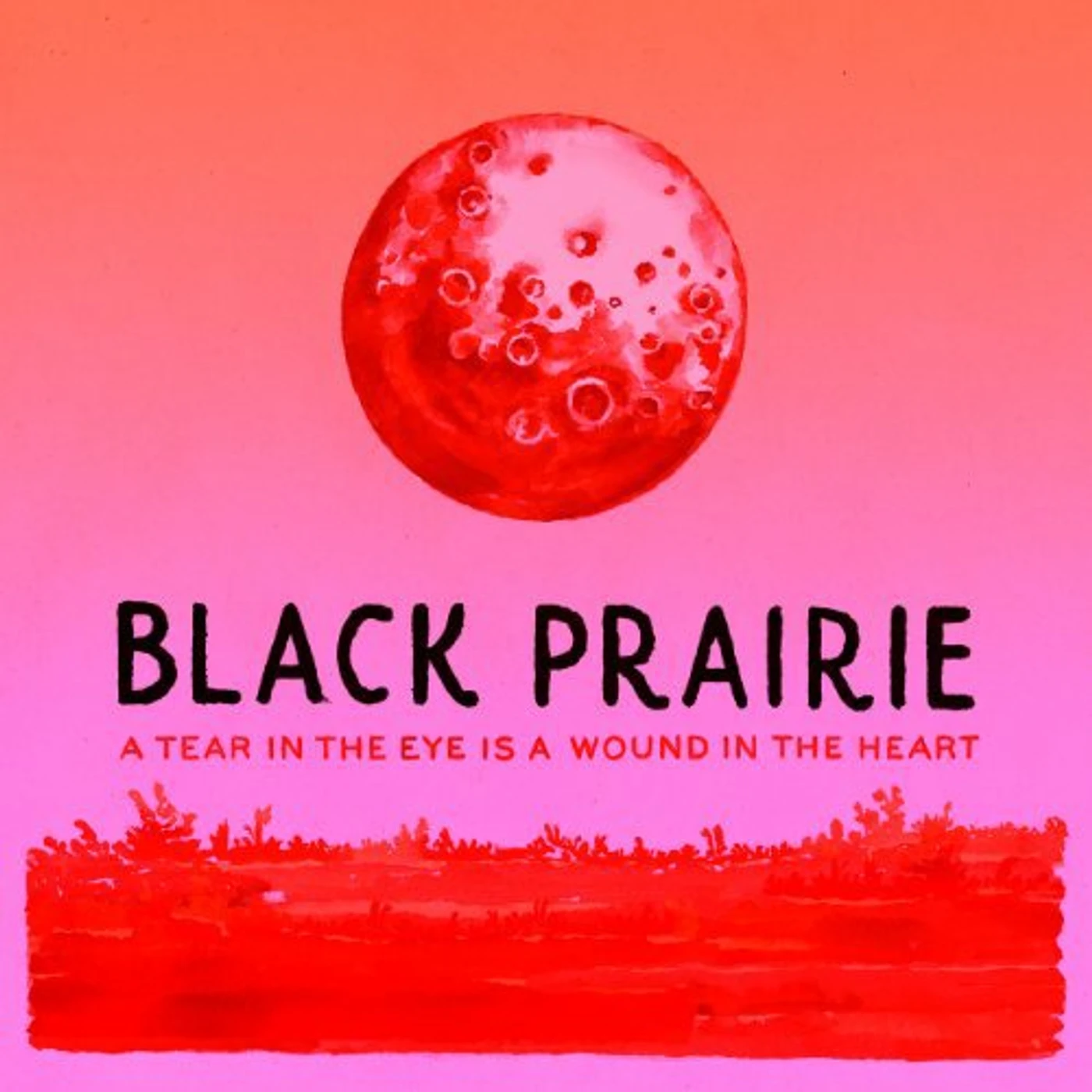 Black Prairie TEAR IN THE EYE IS A WOUND IN THE HEART Vinyl Record