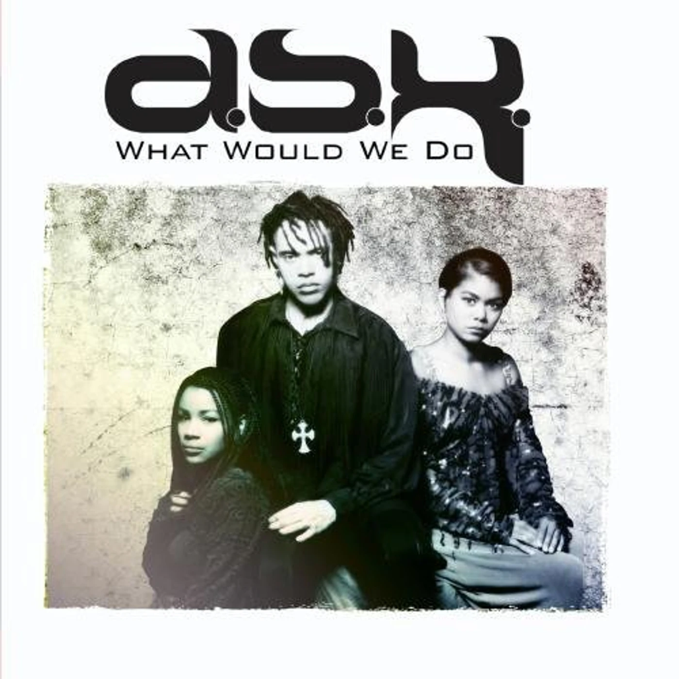 DSK WHAT WOULD WE DO CD