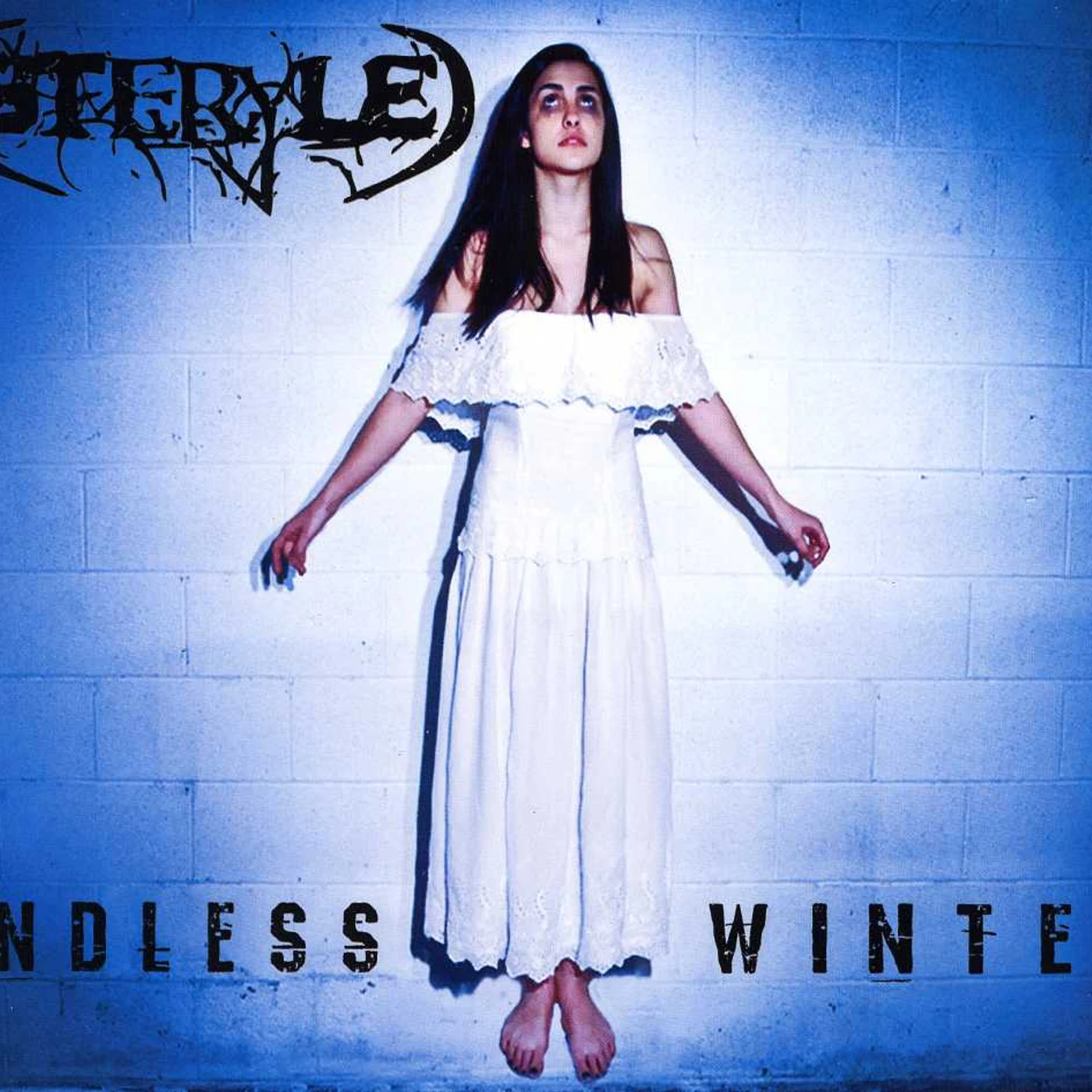 Steryle ENDLESS WINTER CD