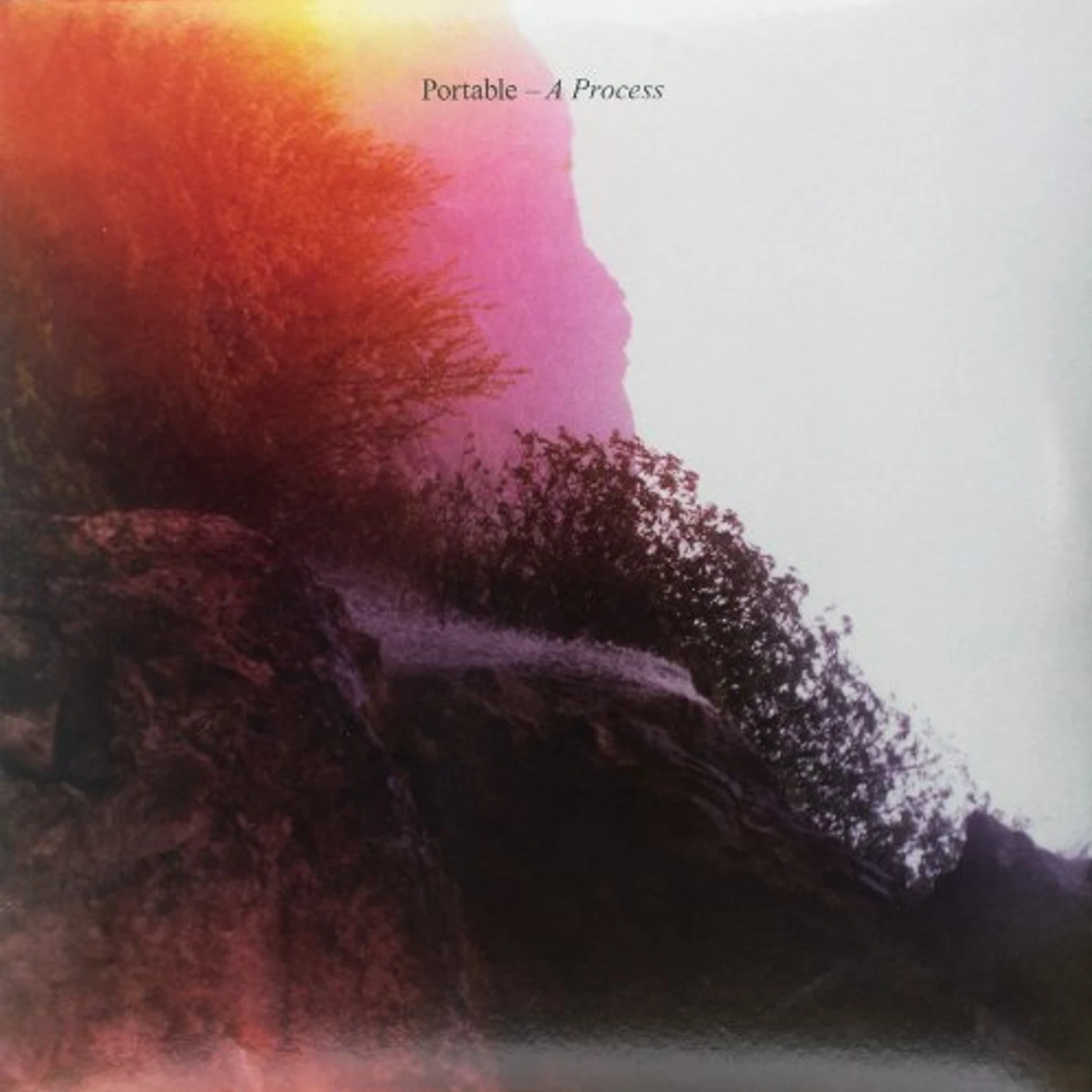 Portable PROCESS Vinyl Record