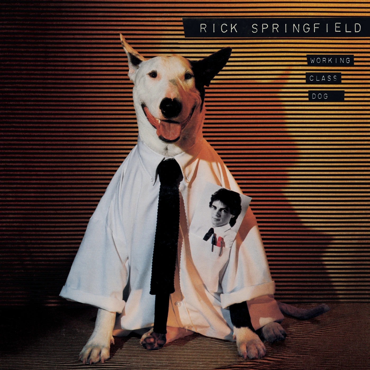 Rick Springfield WORKING CLASS DOG CD