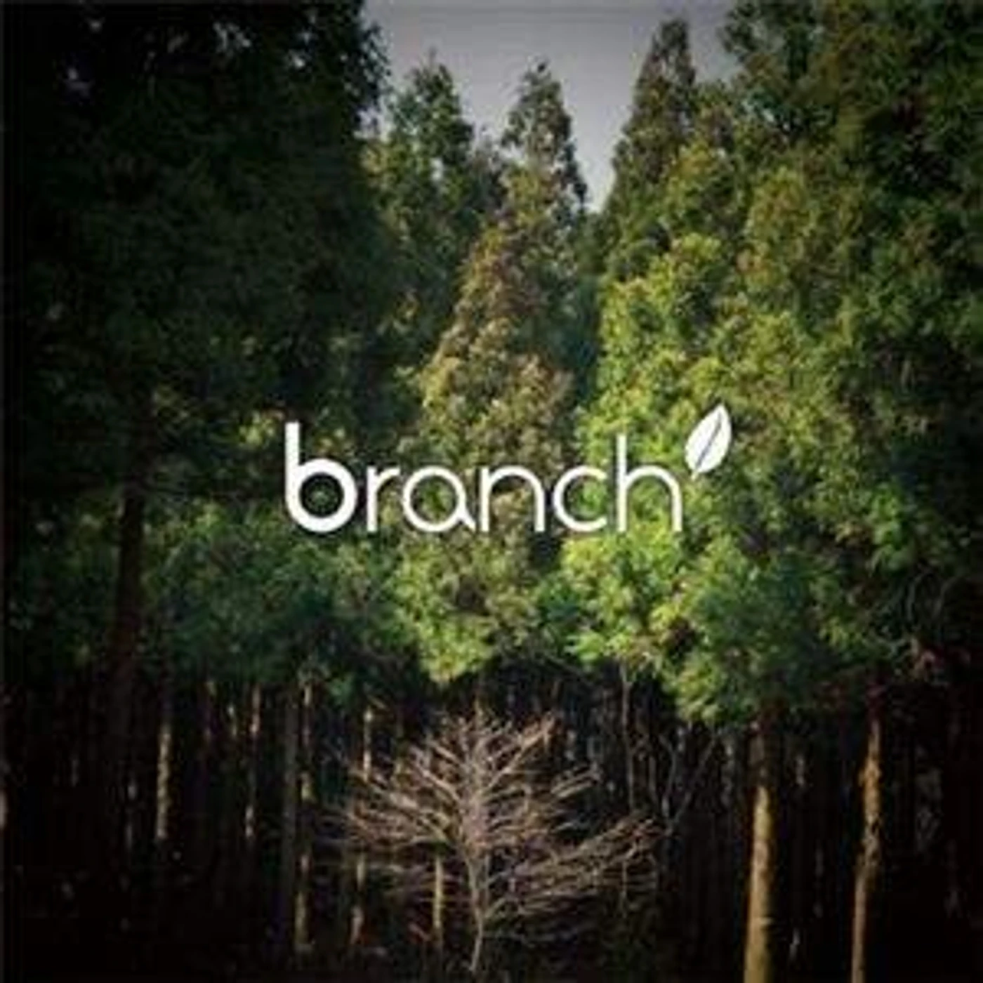 BRANCH CD