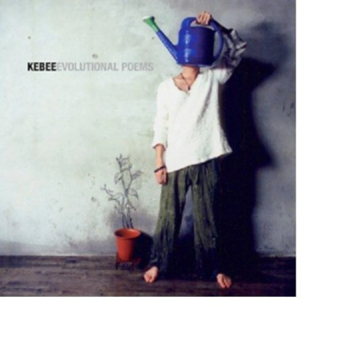 KEBEE VOL.1 - 3 CD