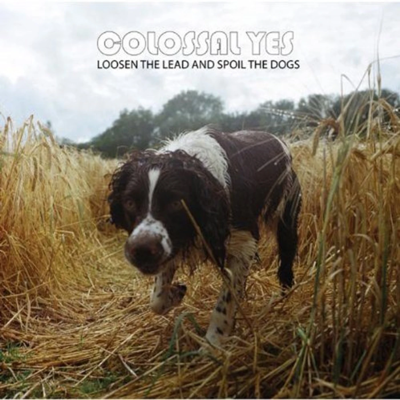 Colossal Yes LOOSEN THE LEAD & SPOIL THE DOGS CD