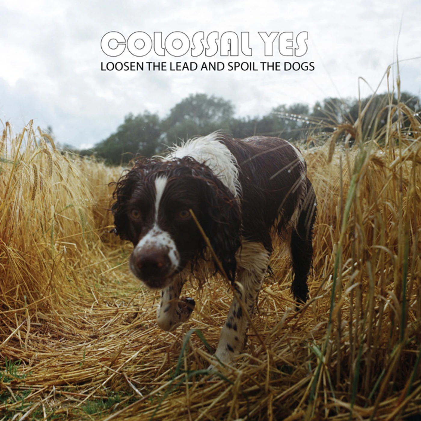 Colossal Yes Loosen the Lead and Spoil the Dogs Vinyl Record