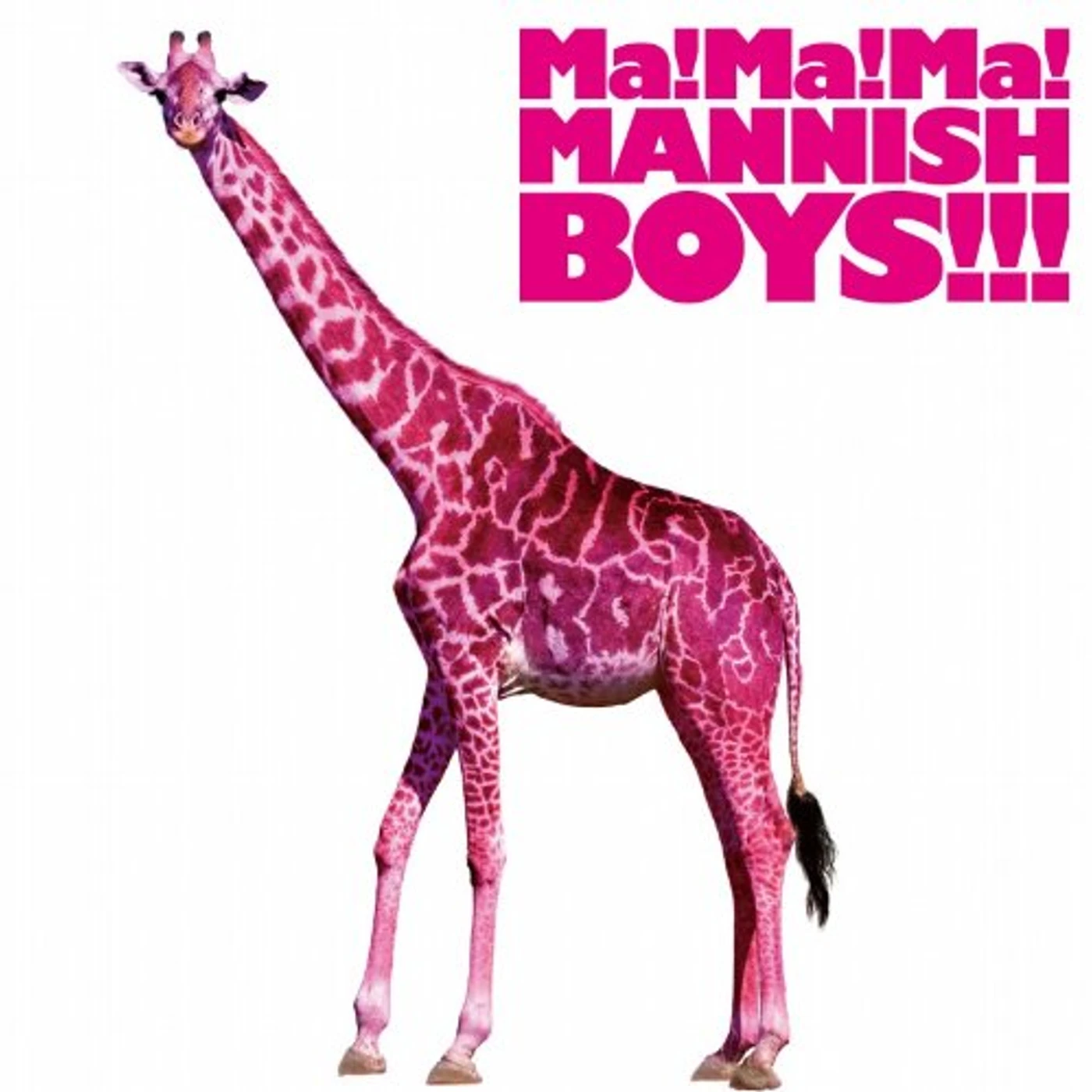MA MA MA MANNISH BOYS CD