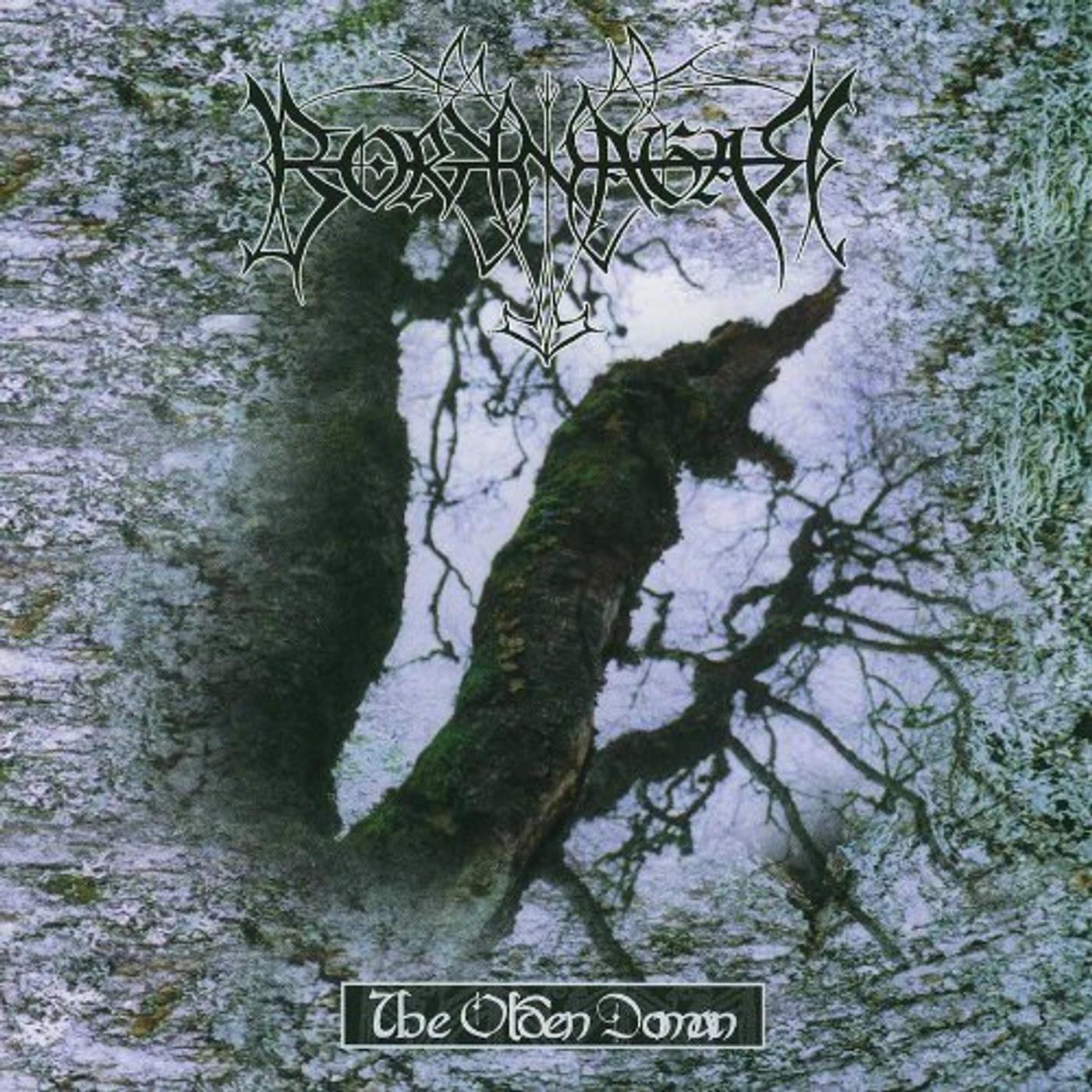 Borknagar OLDEN DOMAIN Vinyl Record