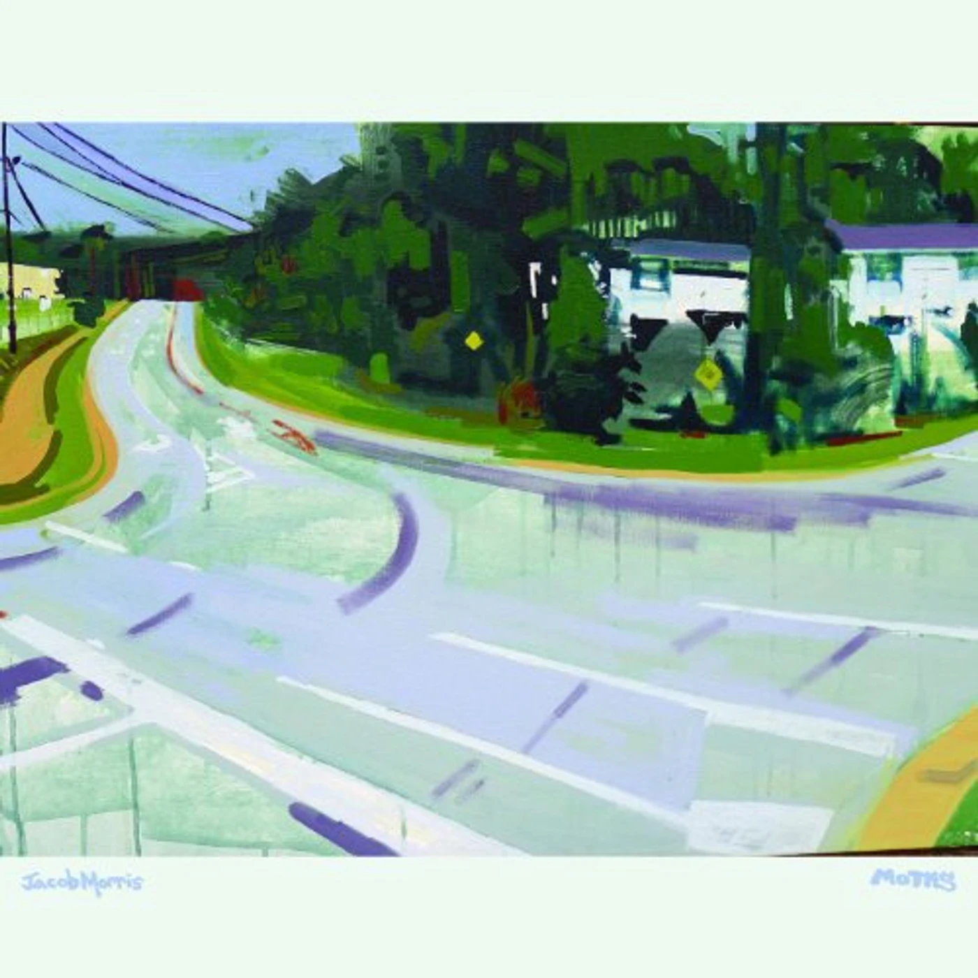 Jacob Morris Moths Vinyl Record