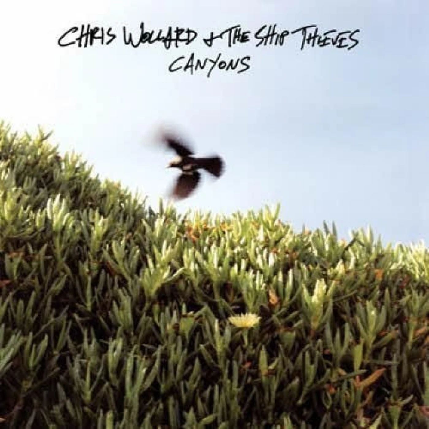 Chris Wollard & The Ship Thieves CANYONS (TRANSLUCENT BLUE VINYL/DL CARD) Vinyl Record