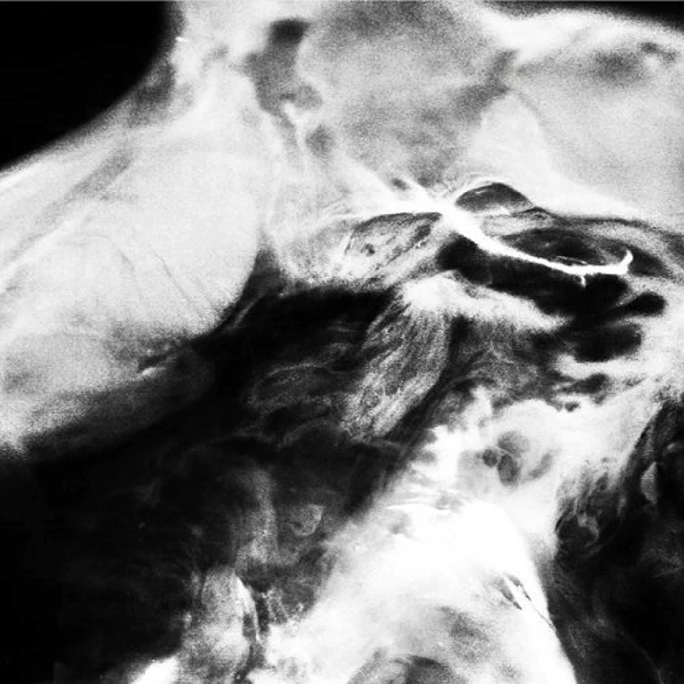 SaffronKeira NEW LIFE CD