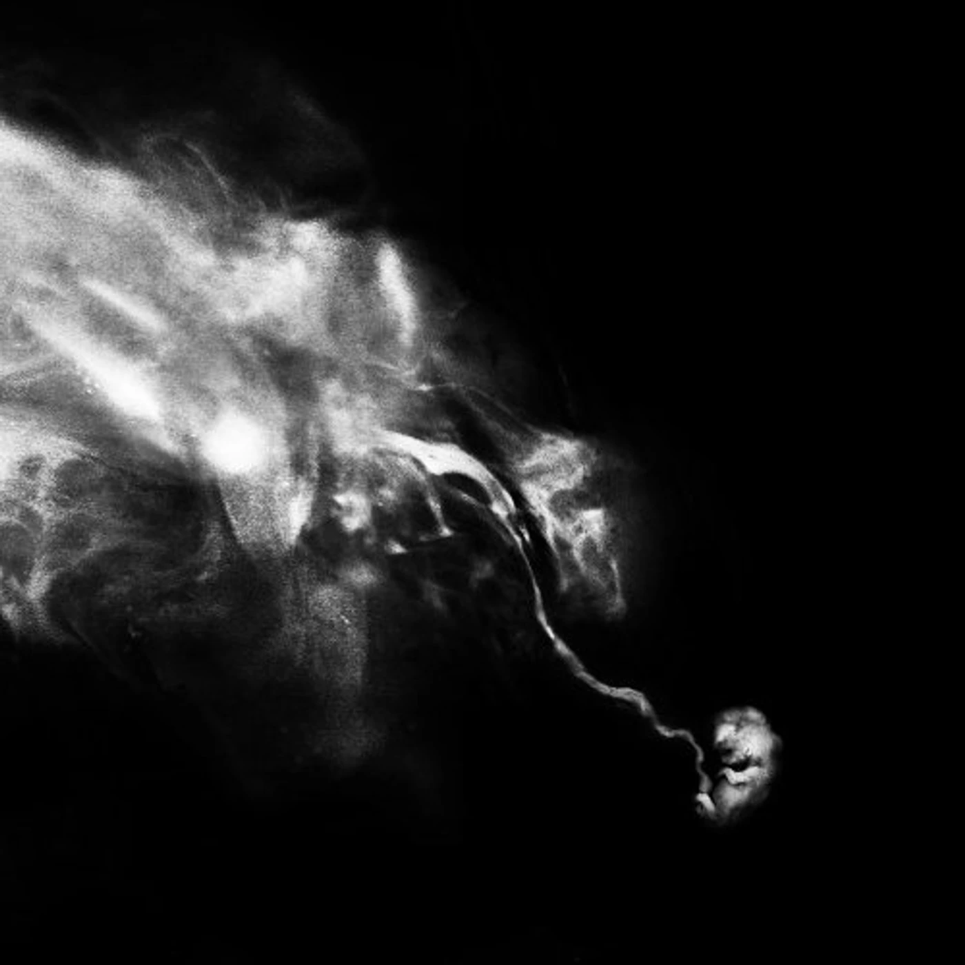 SaffronKeira NEW LIFE PART II Vinyl Record