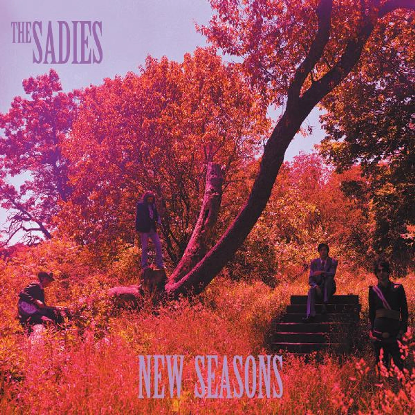 The Sadies NEW SEASONS Vinyl Record