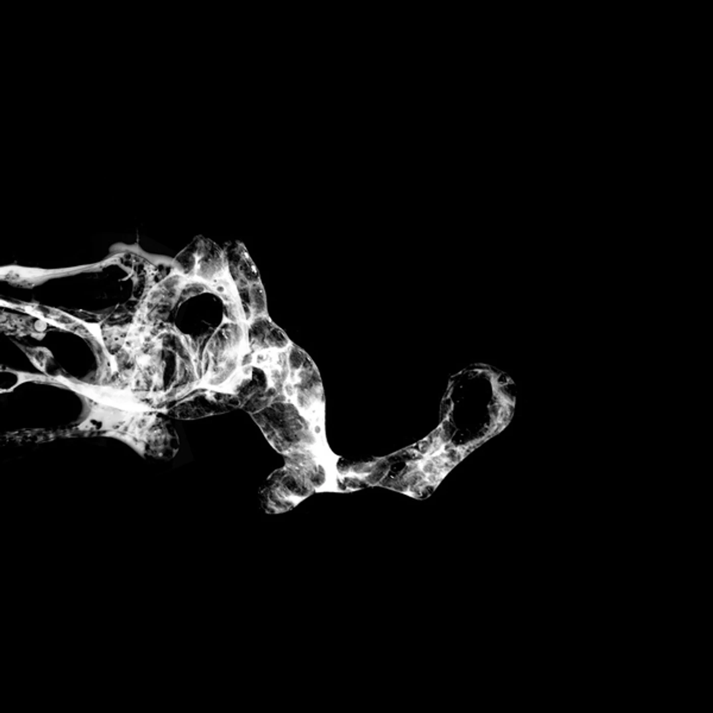 SaffronKeira Tourette Vinyl Record