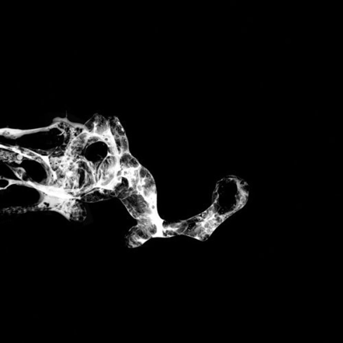 SaffronKeira TOURETTE CD