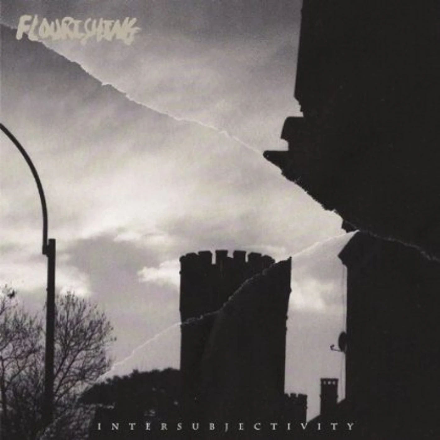 Flourishing INTERSUBJECTIVITY CD