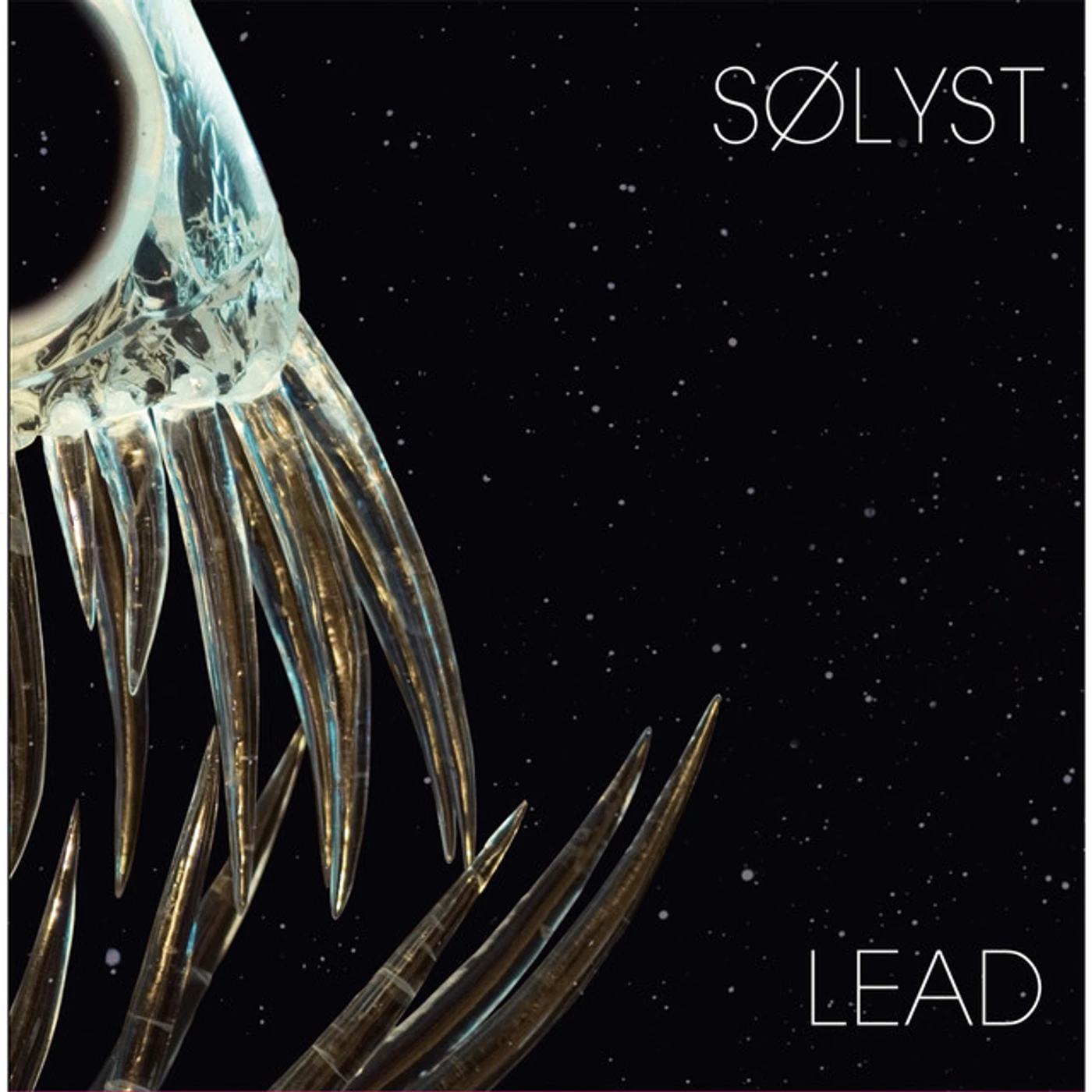 Sølyst Lead Vinyl Record