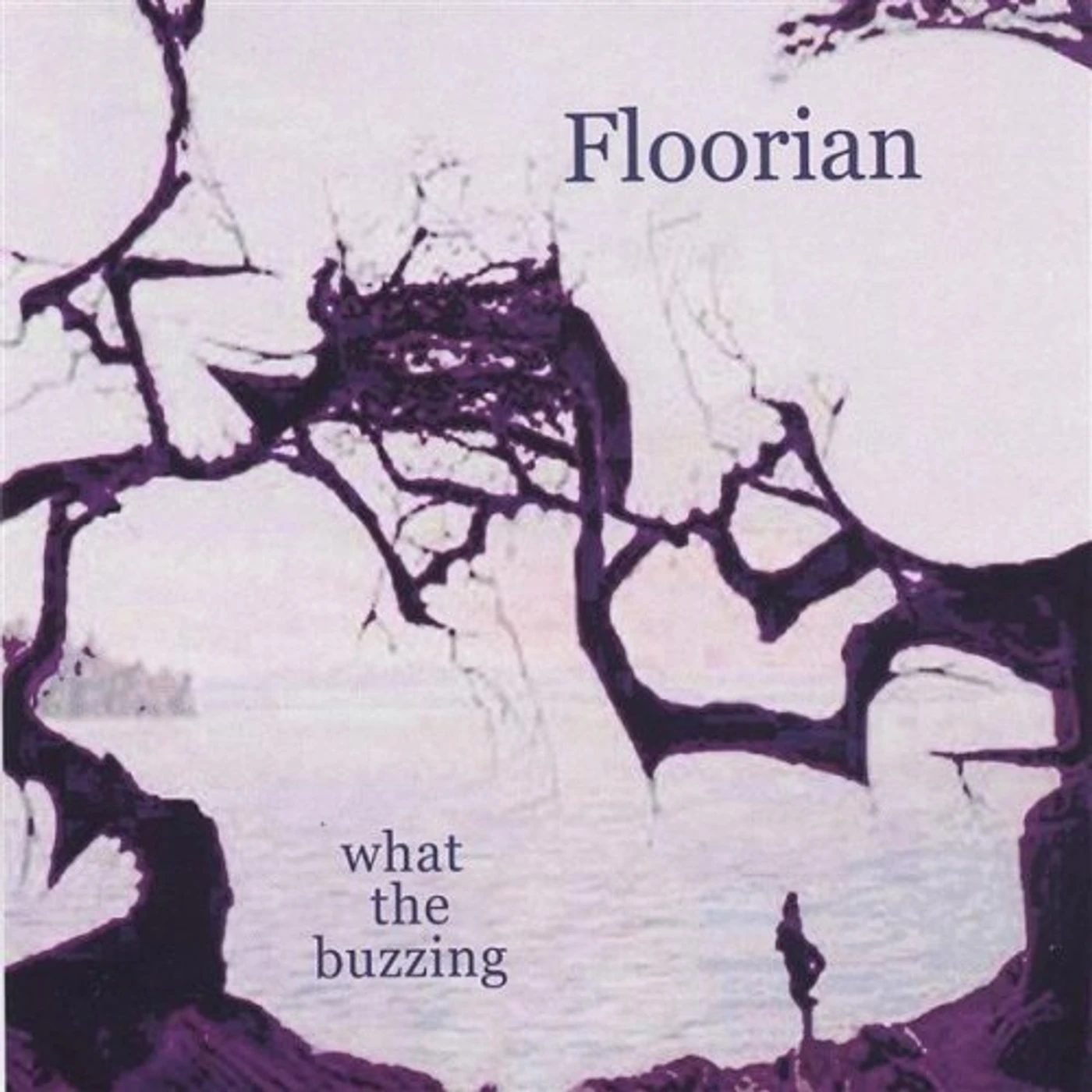 Floorian WHAT THE BUZZING CD