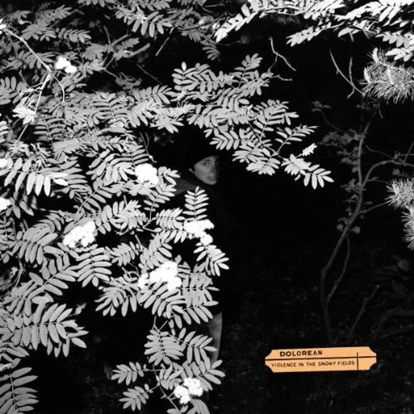 Dolorean VIOLENCE IN THE SNOWY FIELDS CD