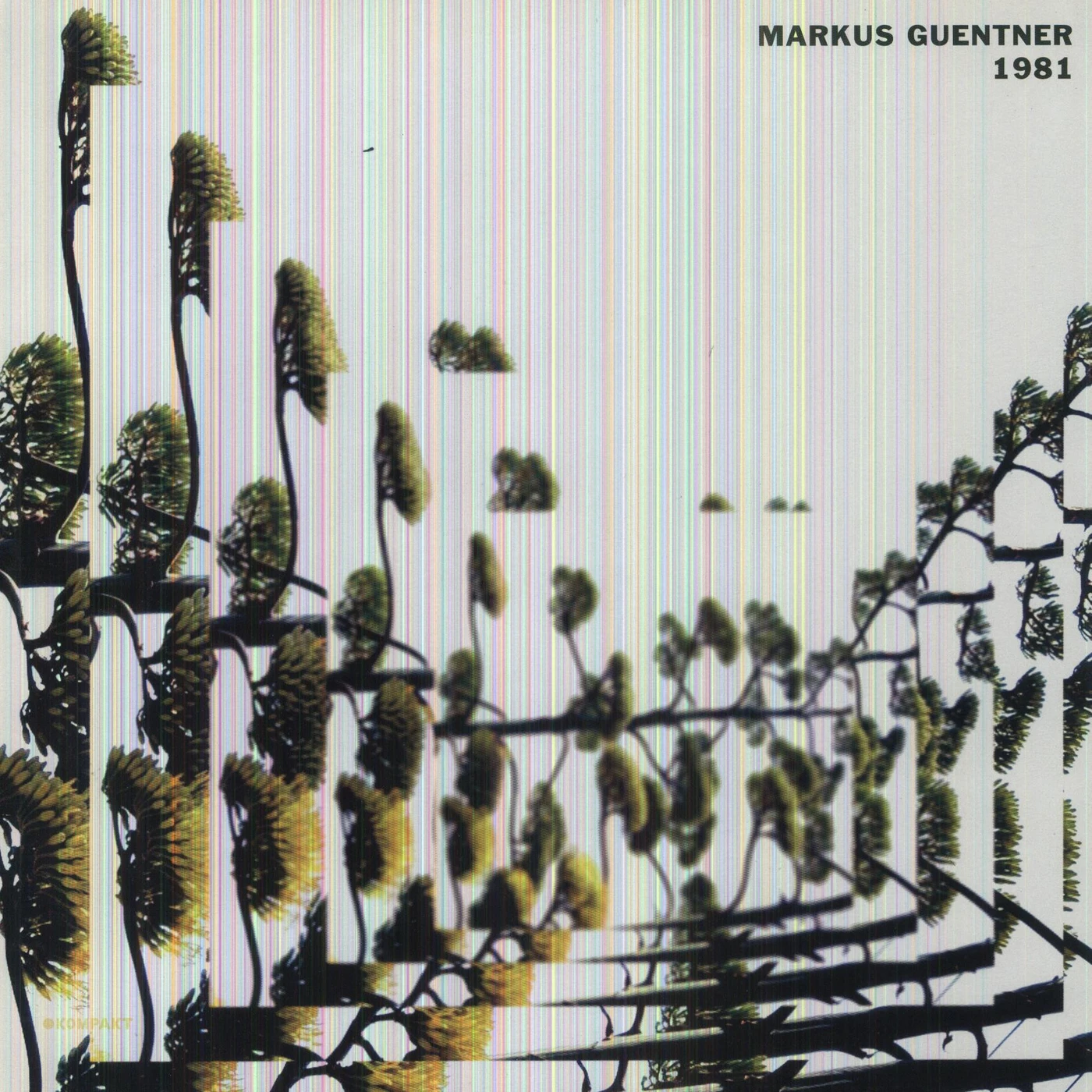 Markus Guentner 1981 Vinyl Record