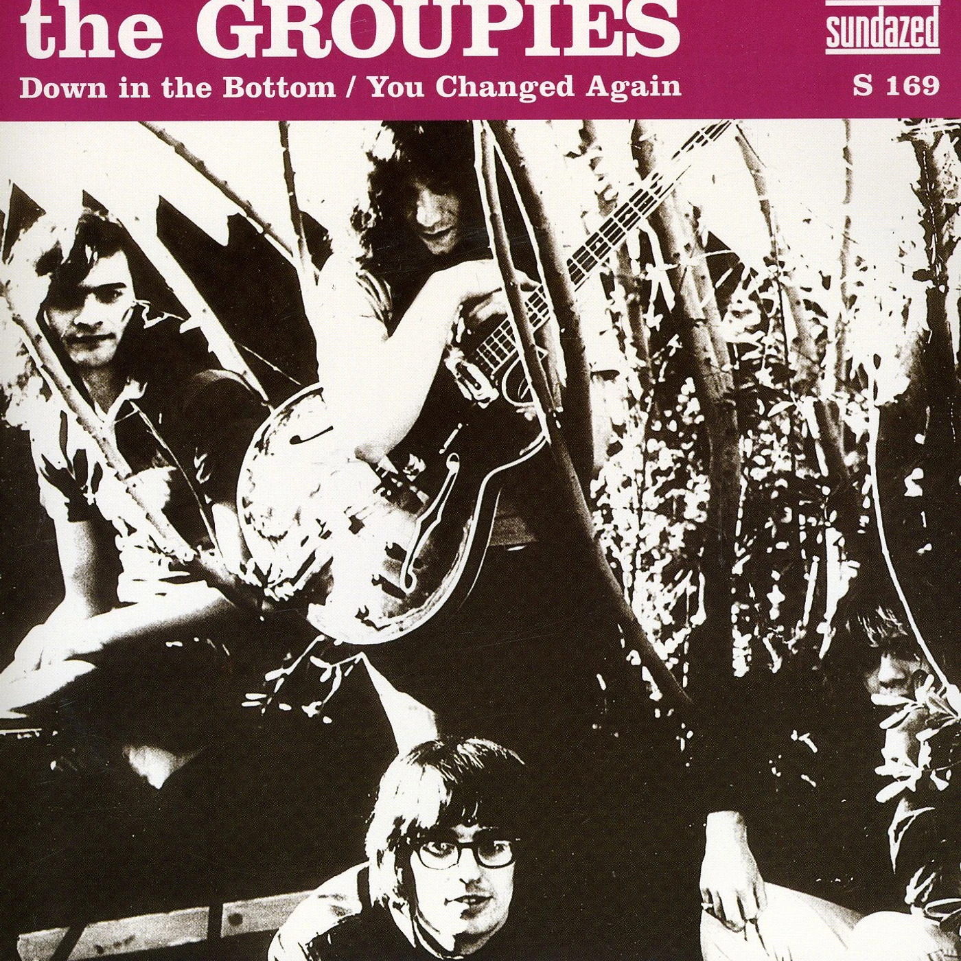 The Groupies DOWN IN THE BOTTOM: YOU CHANGED AGAIN Vinyl Record
